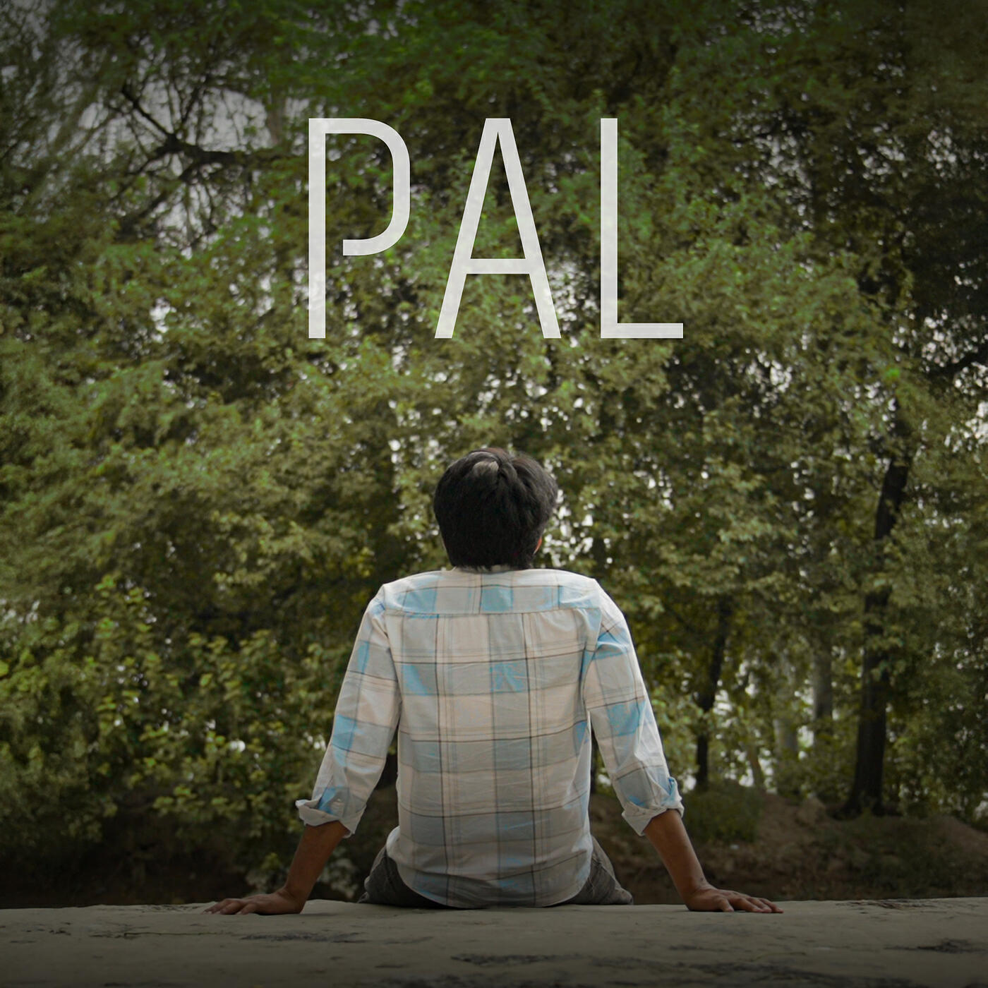 Релиз Pal