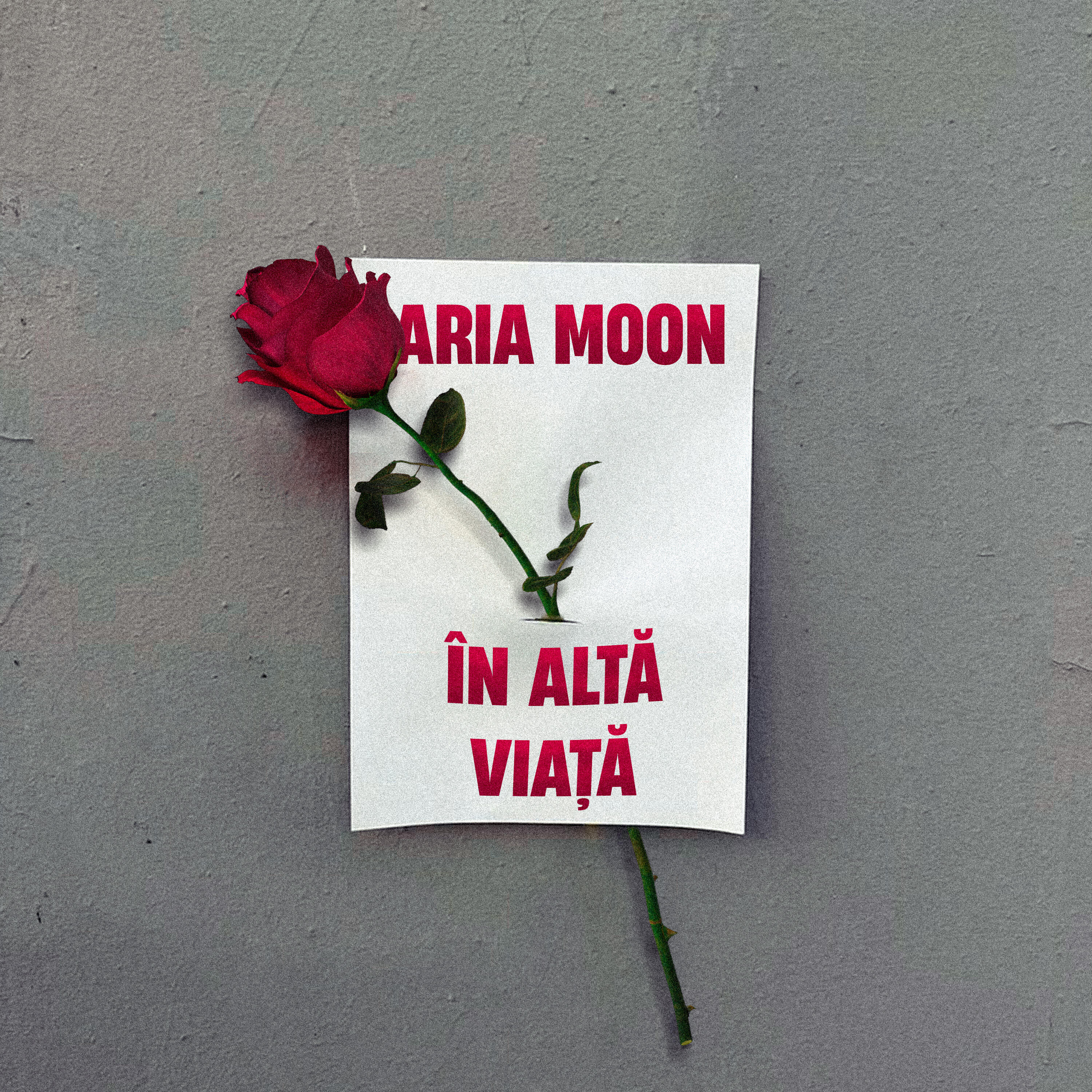 Релиз In alta viata
