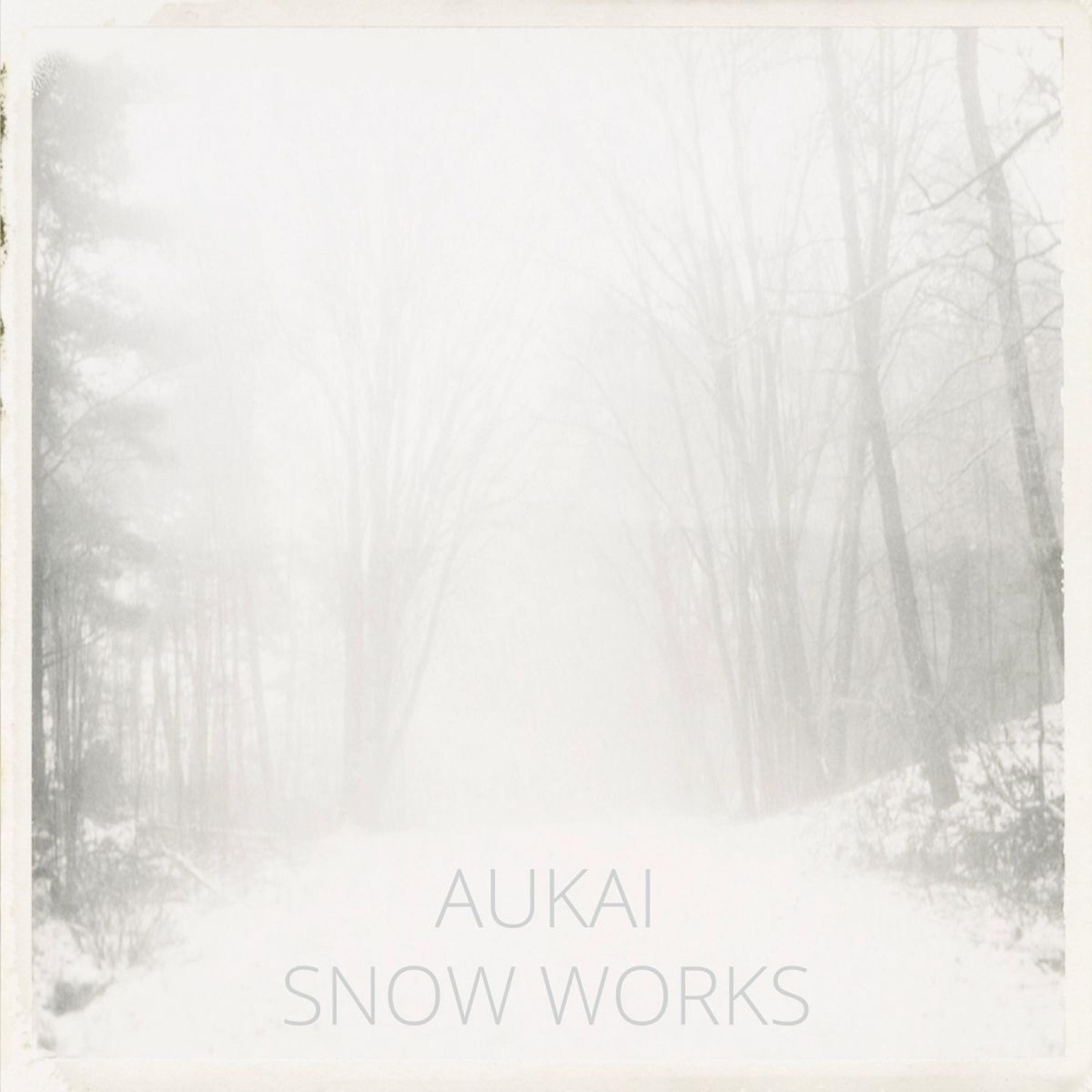 Релиз Snow Works