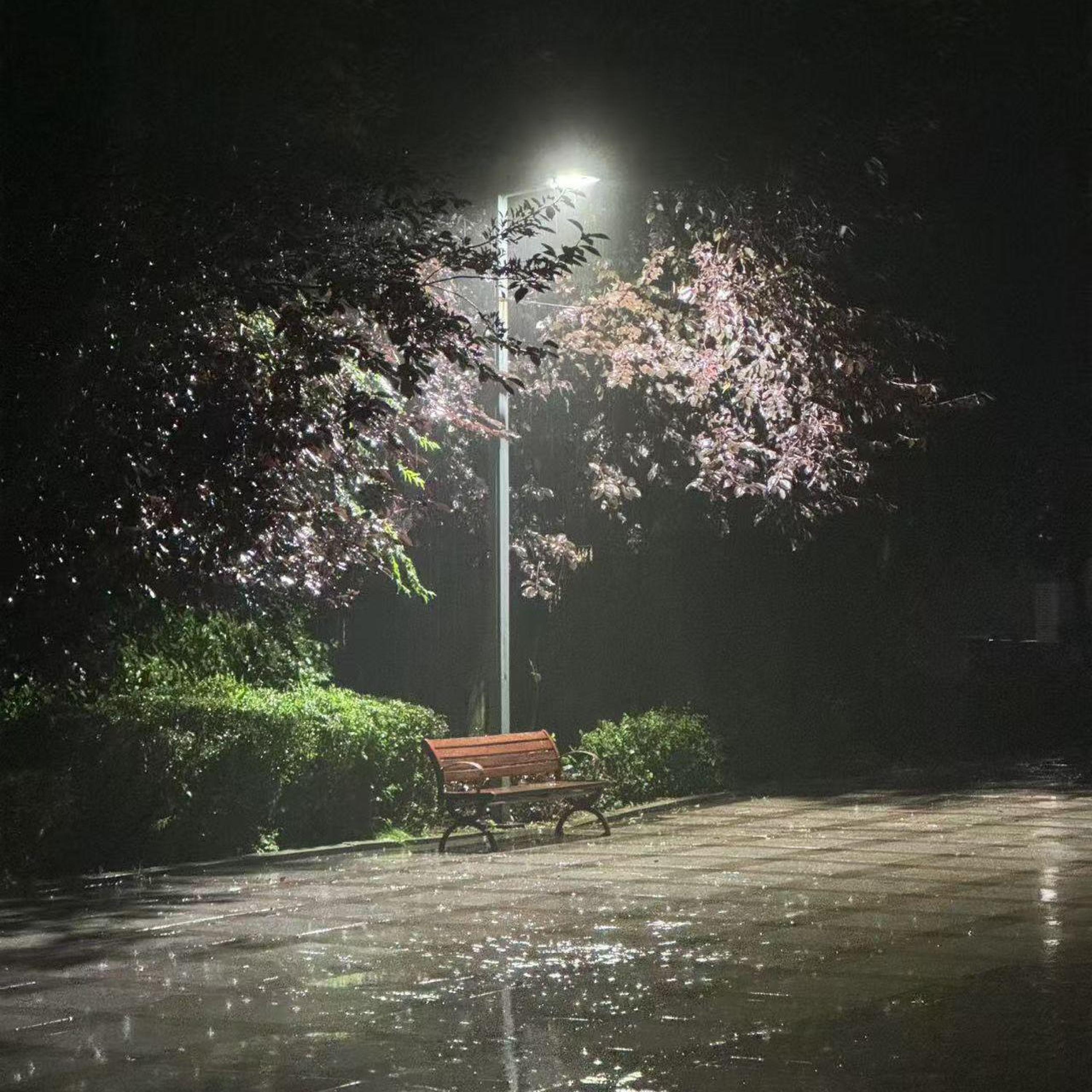 Релиз 在那之后