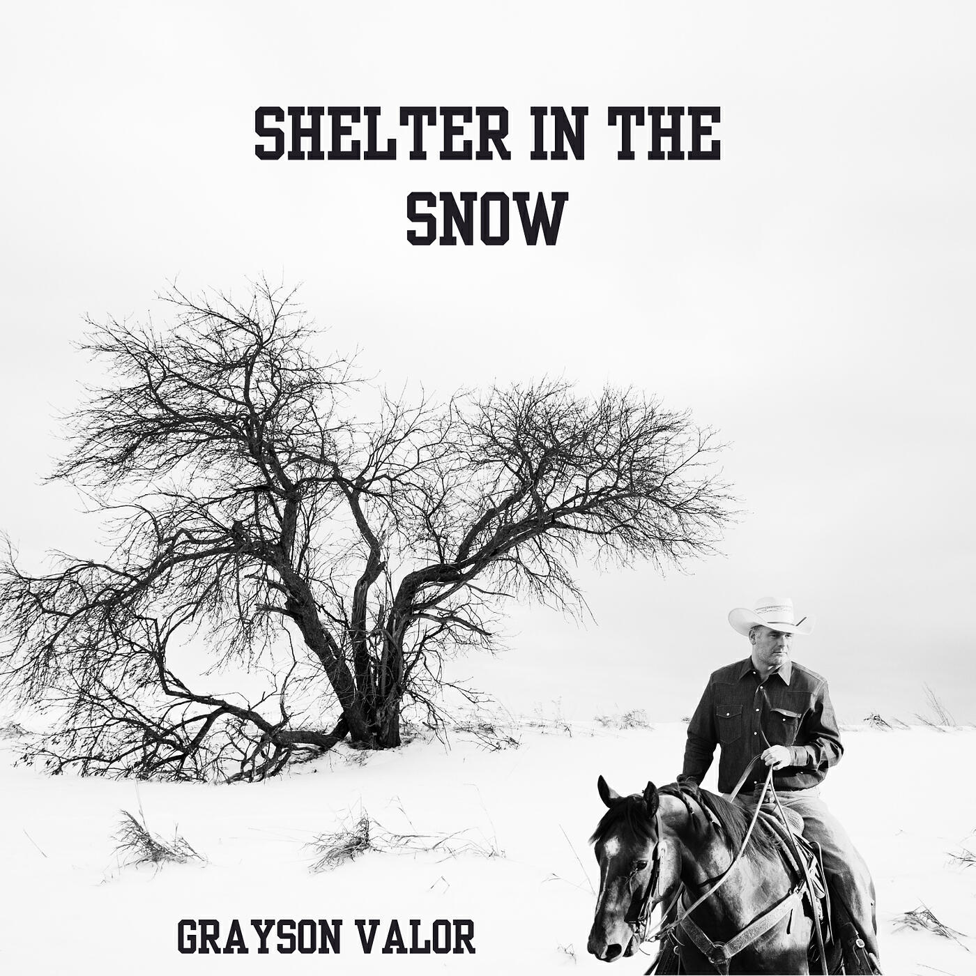 Релиз Shelter in the Snow