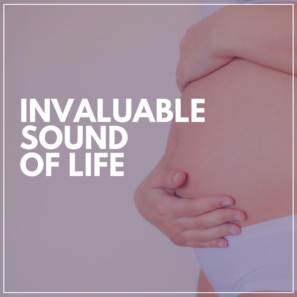 Релиз Invaluable Sound of Life