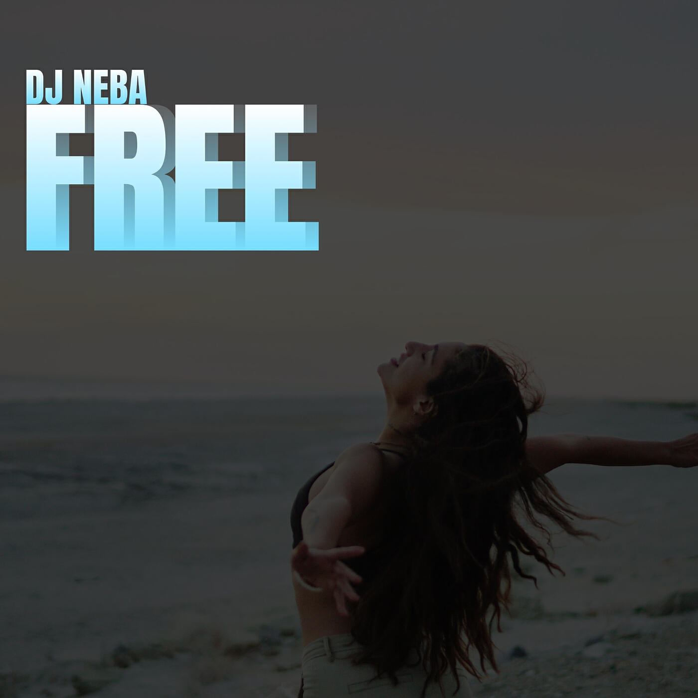 Релиз Free