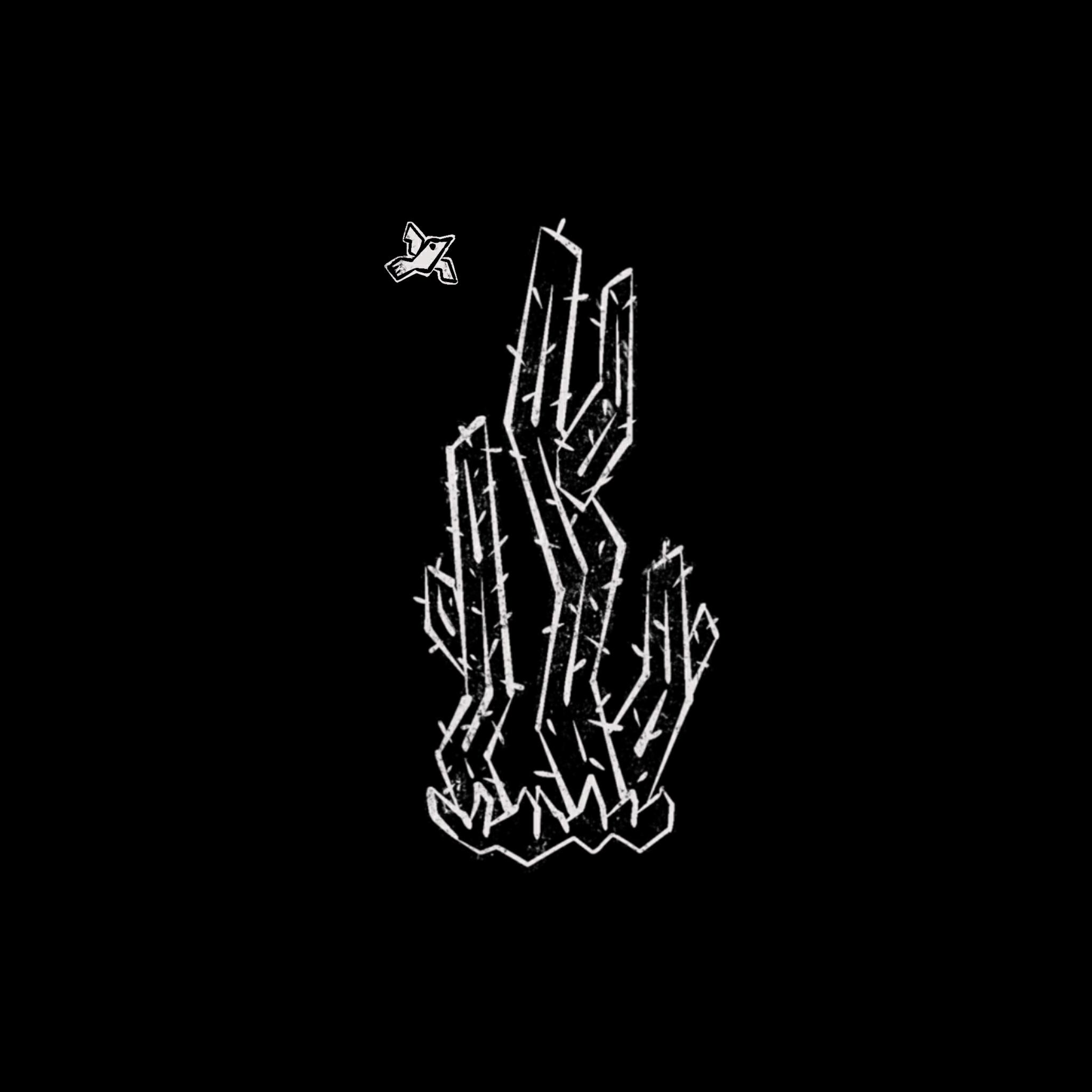 Релиз lofi caatinga