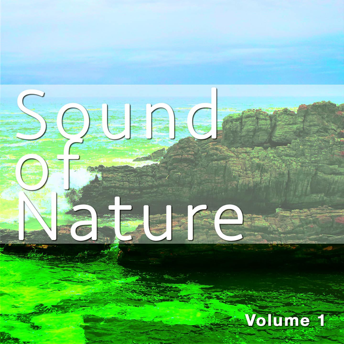 Релиз Sound of Nature, Vol. 1