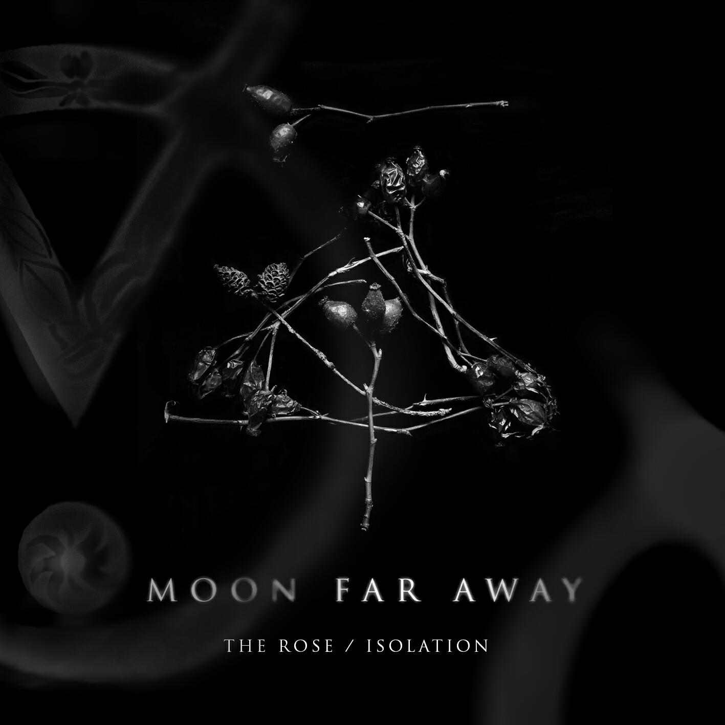 Релиз The Rose. Isolation