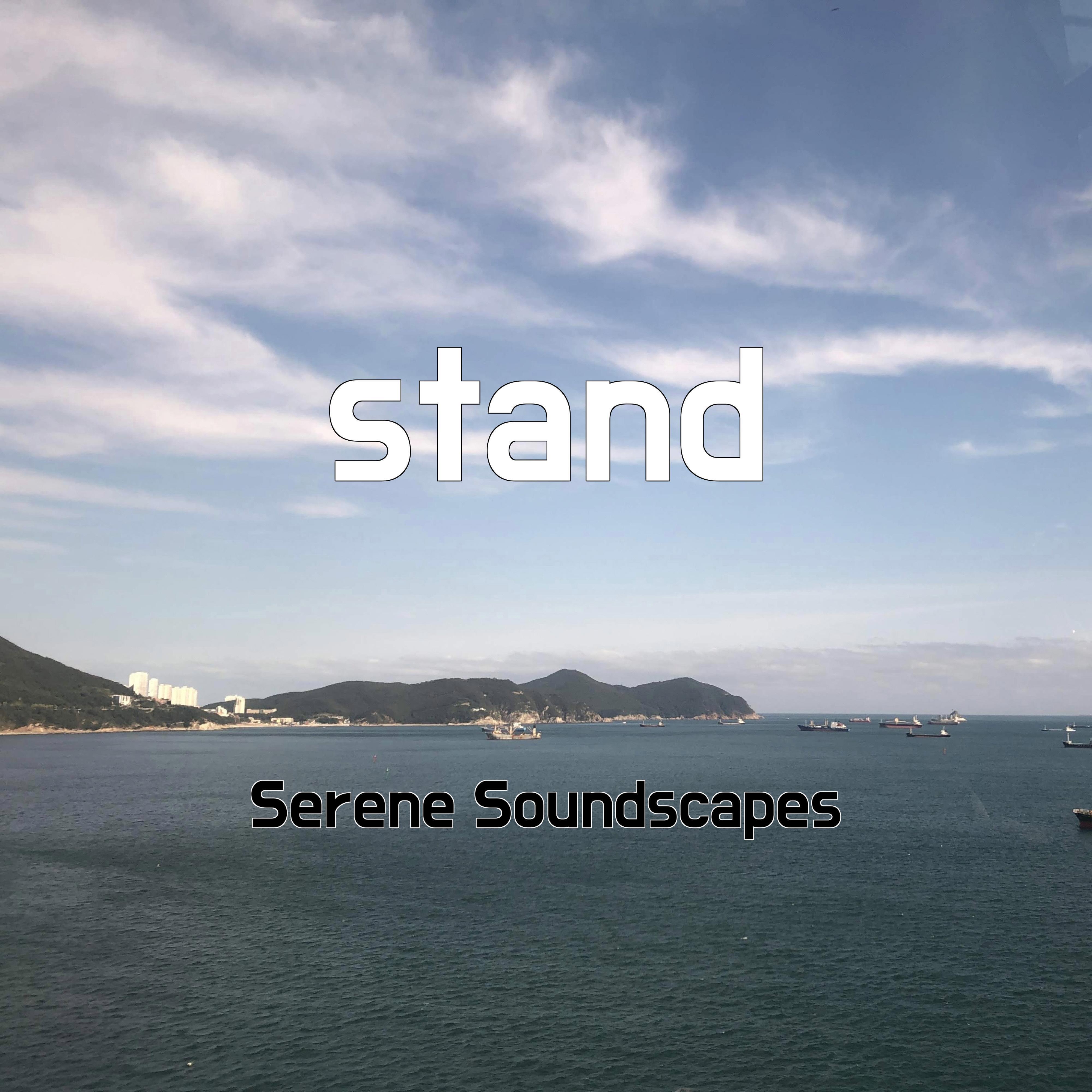 Релиз stand