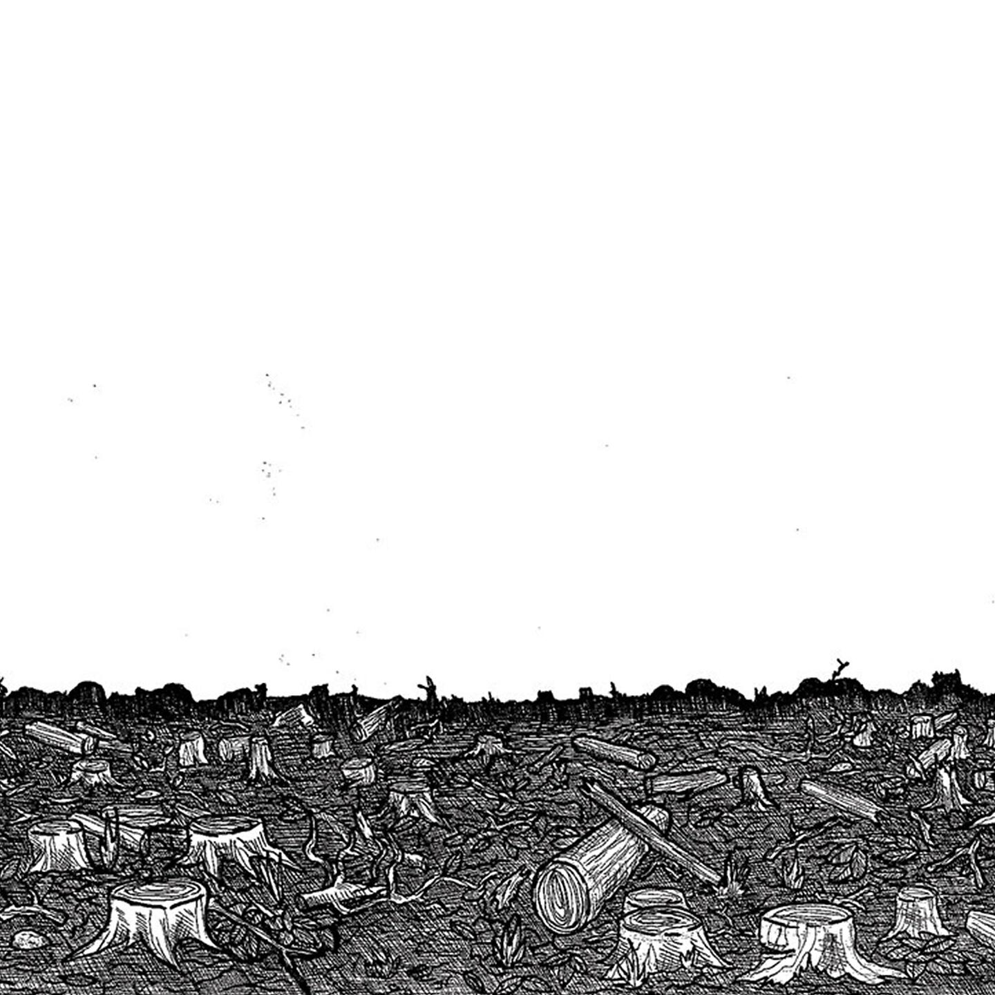 Релиз Demo Cassette 2013