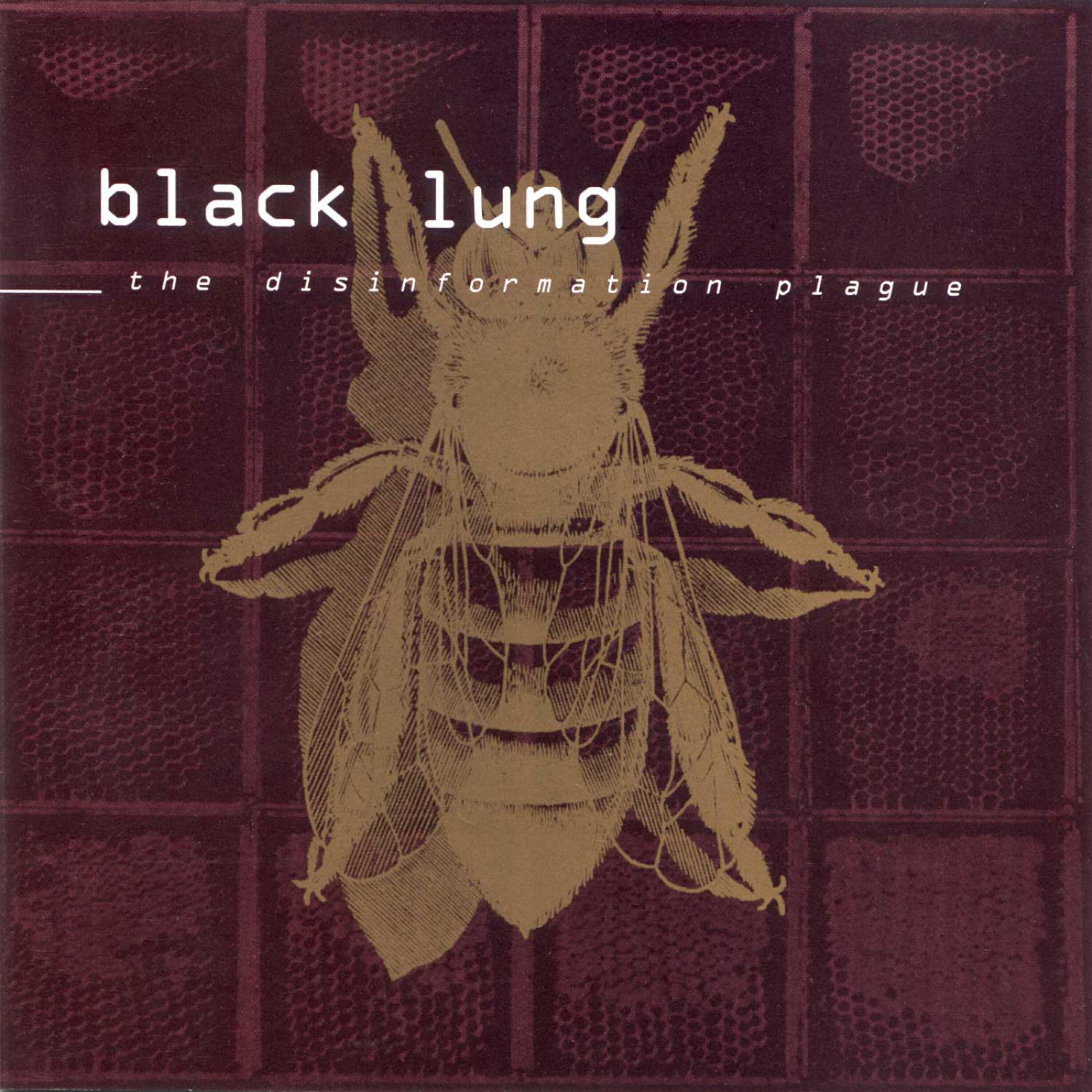 Релиз The Disinformation Plague