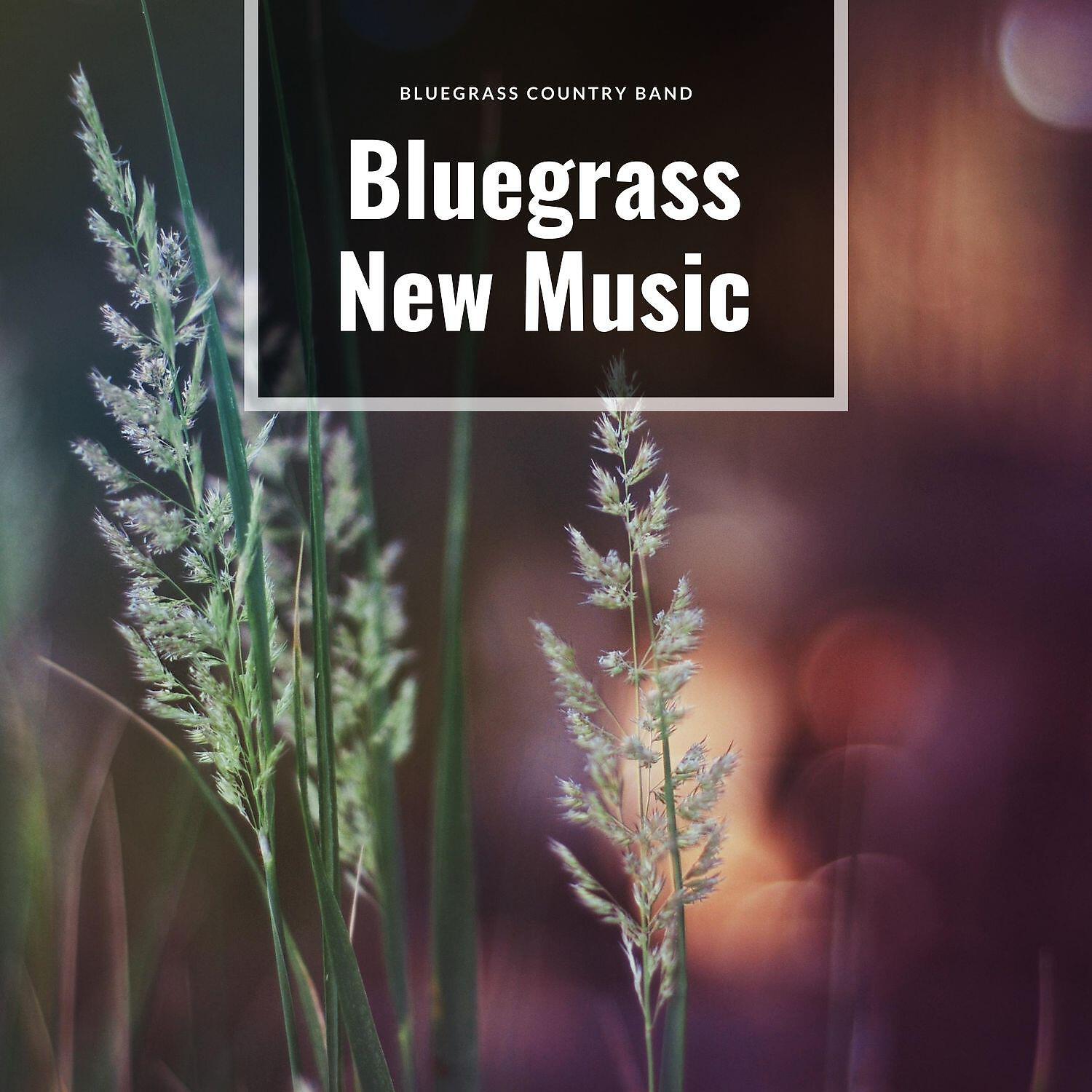 Релиз Beautiful Bluegrass New Music