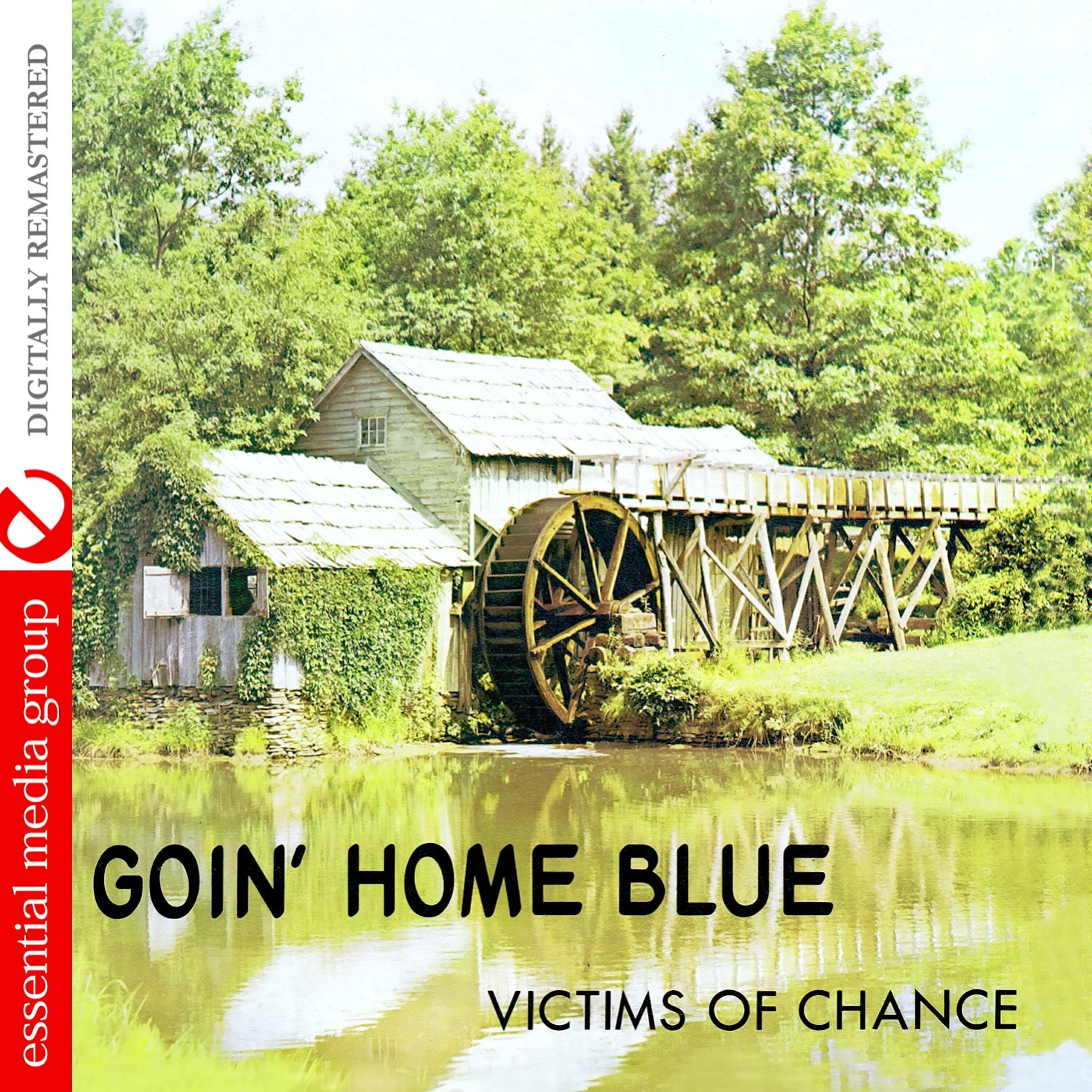 Релиз Goin' Home Blue (Johnny Kitchen Presents Victims Of Chance) (Remastered)