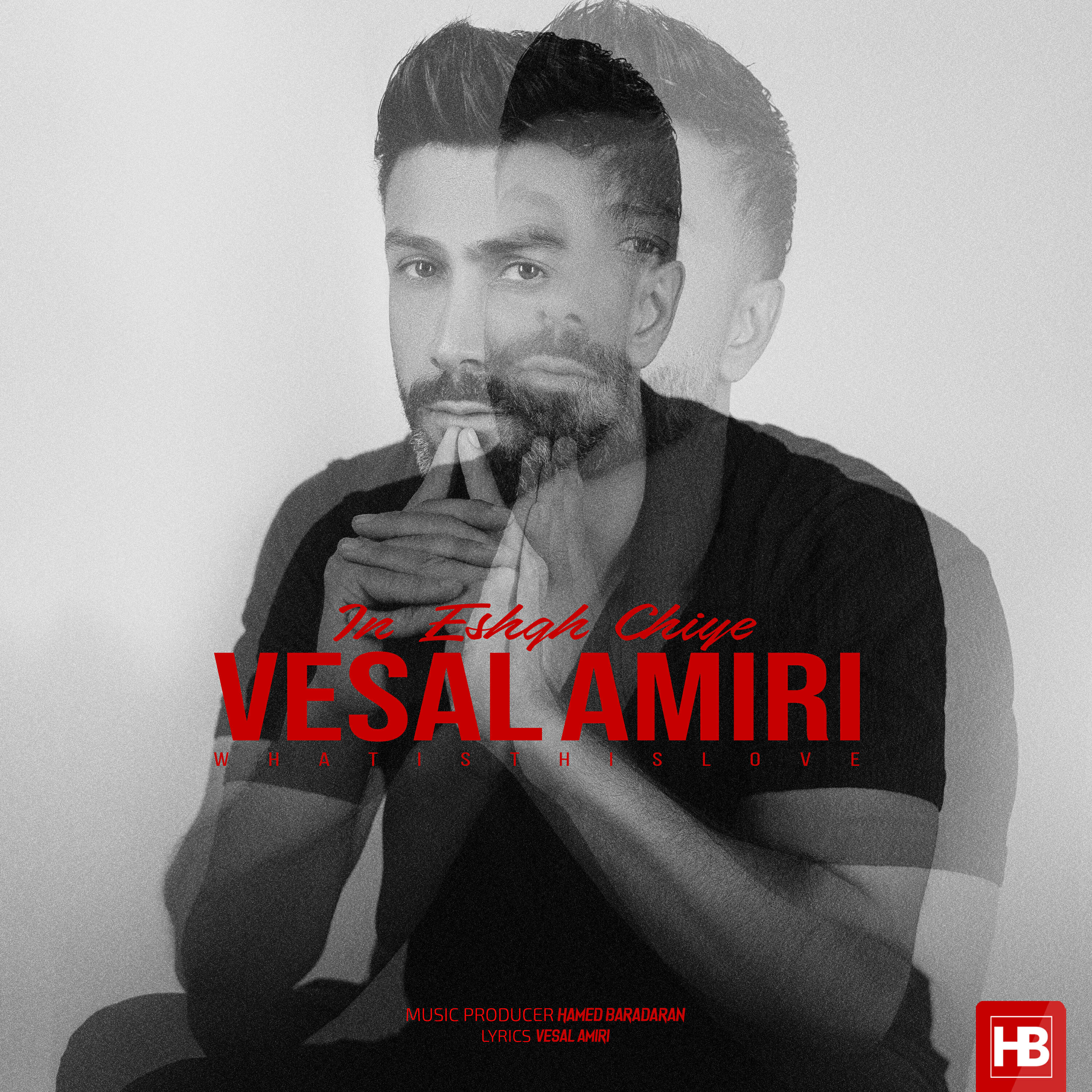 Vesal Amiri