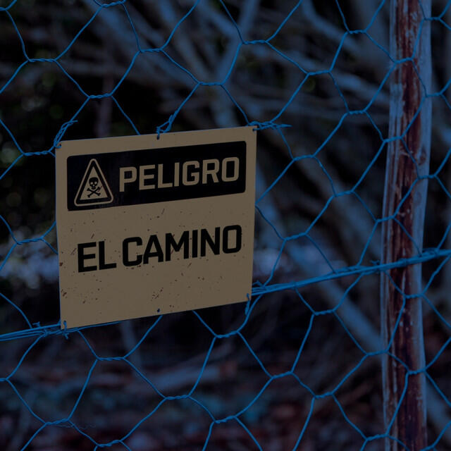 Релиз El Camino