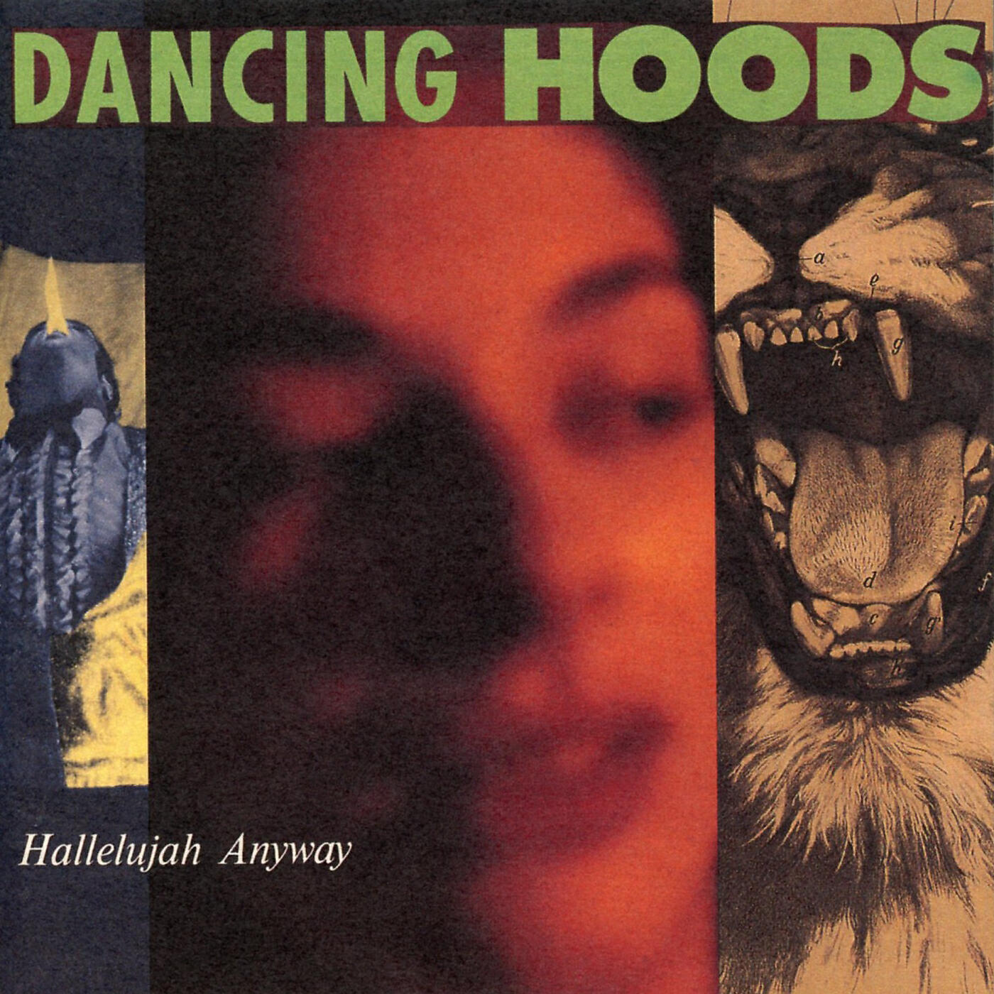 Dancing Hoods