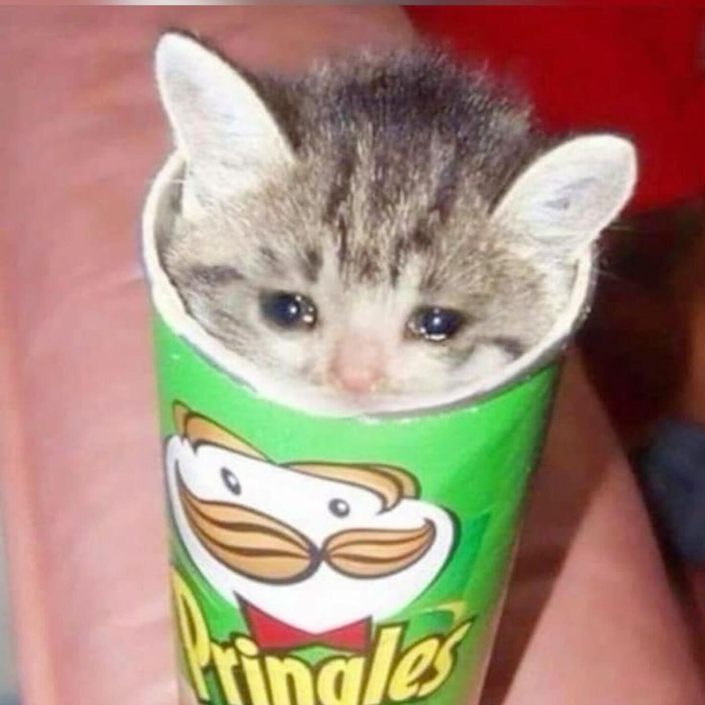 Релиз I Might Brake, But I Won't