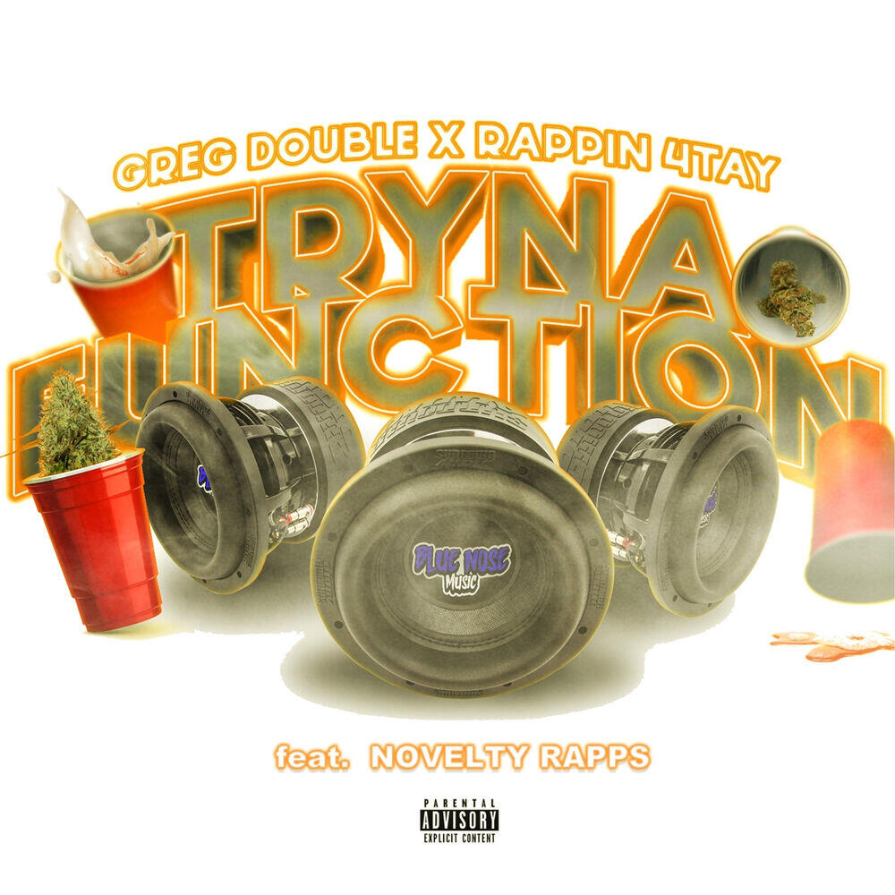 Релиз Tryna Function (Ambitionz Remix)