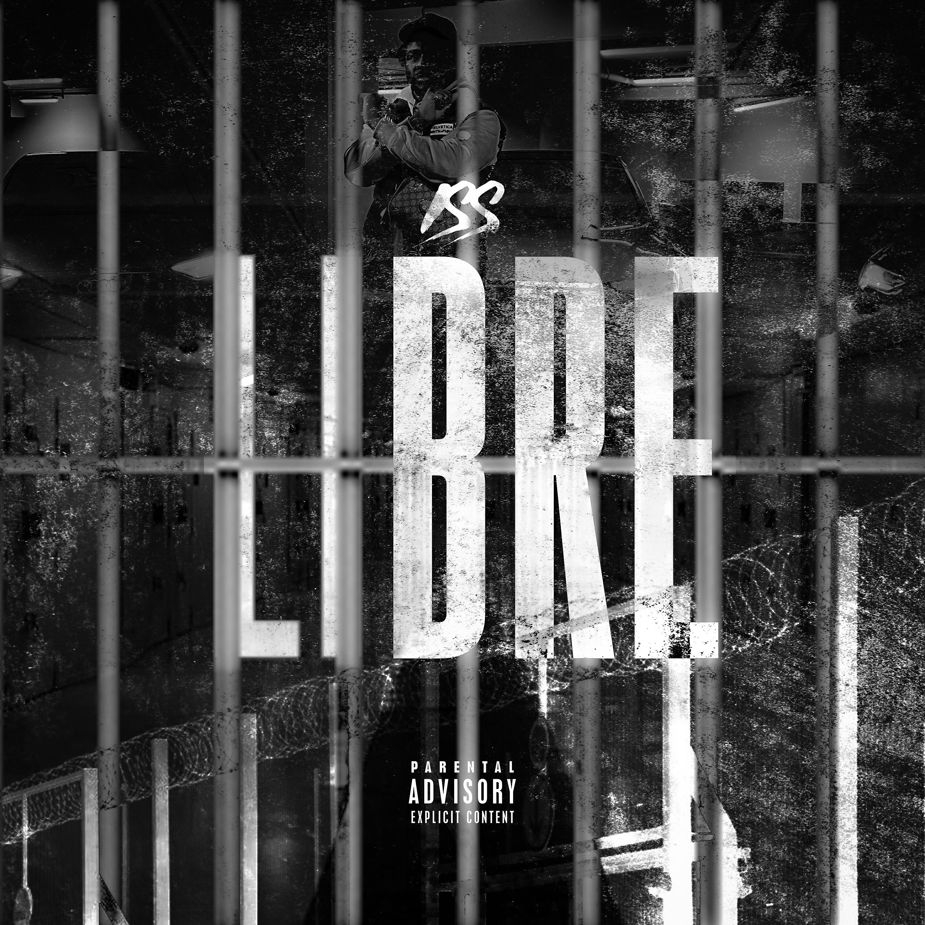Релиз Libre