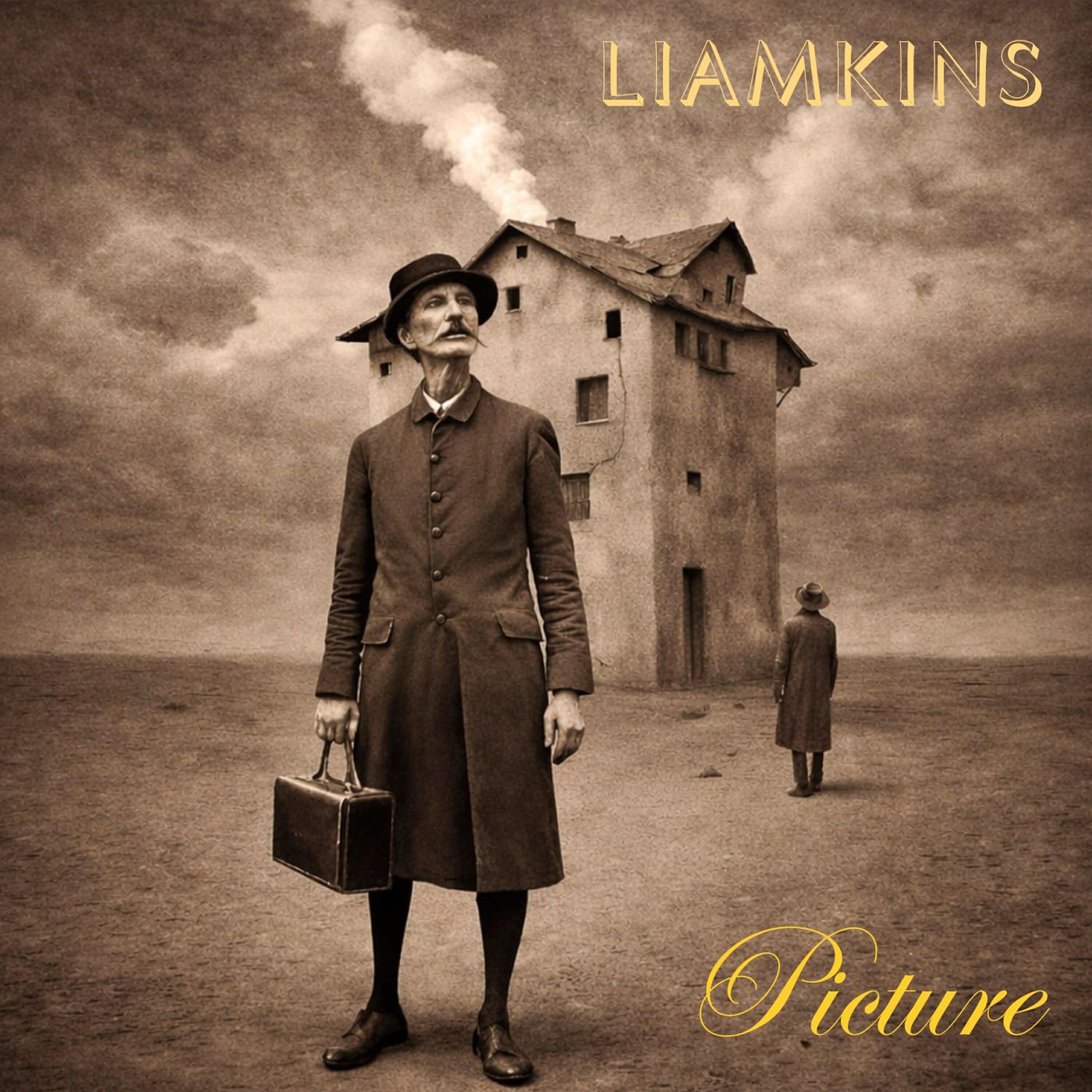 Релиз Picture