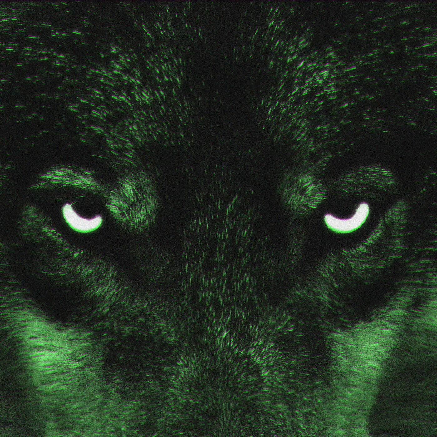Релиз WOLVES