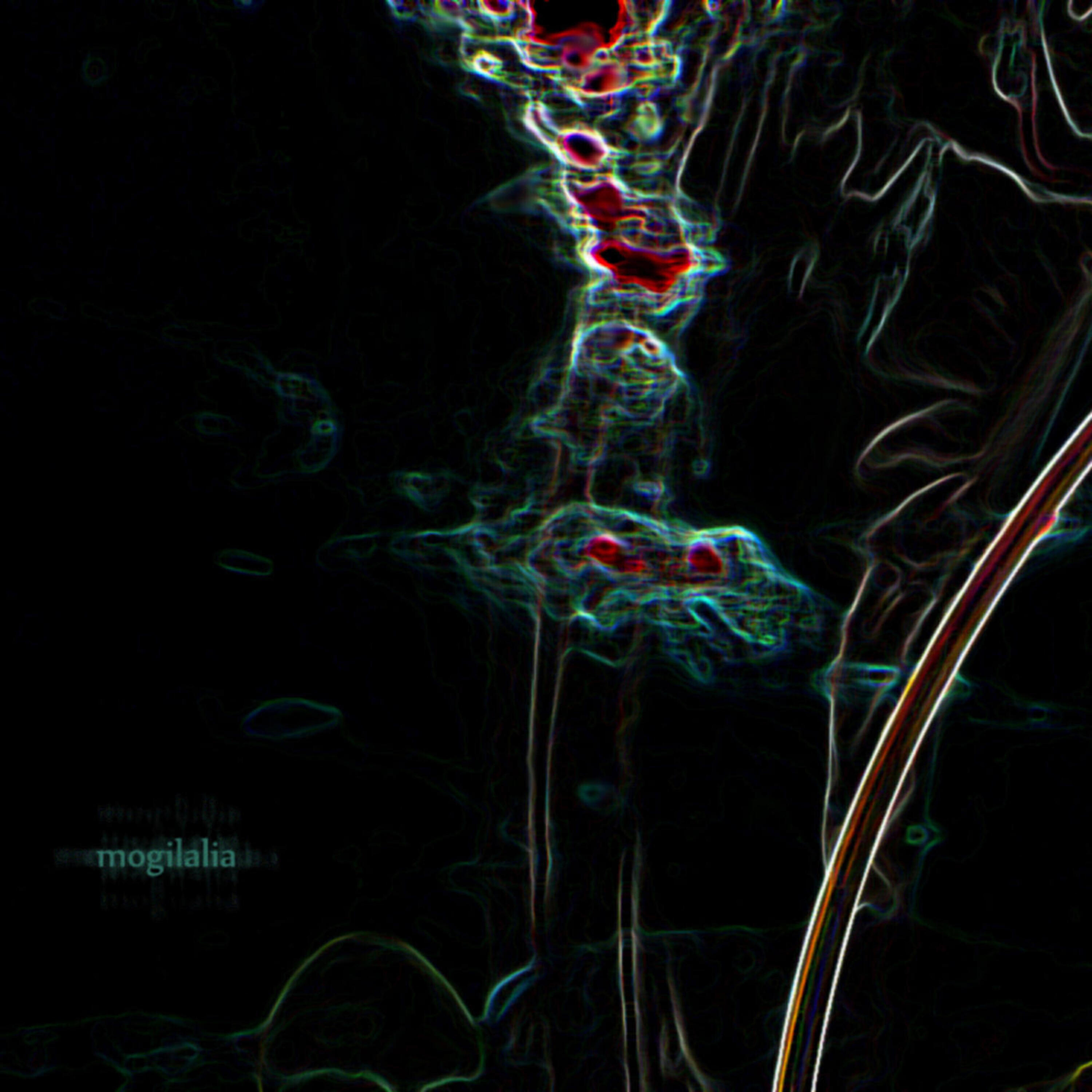 Релиз Lights are Burning, a Ghost is Dancing
