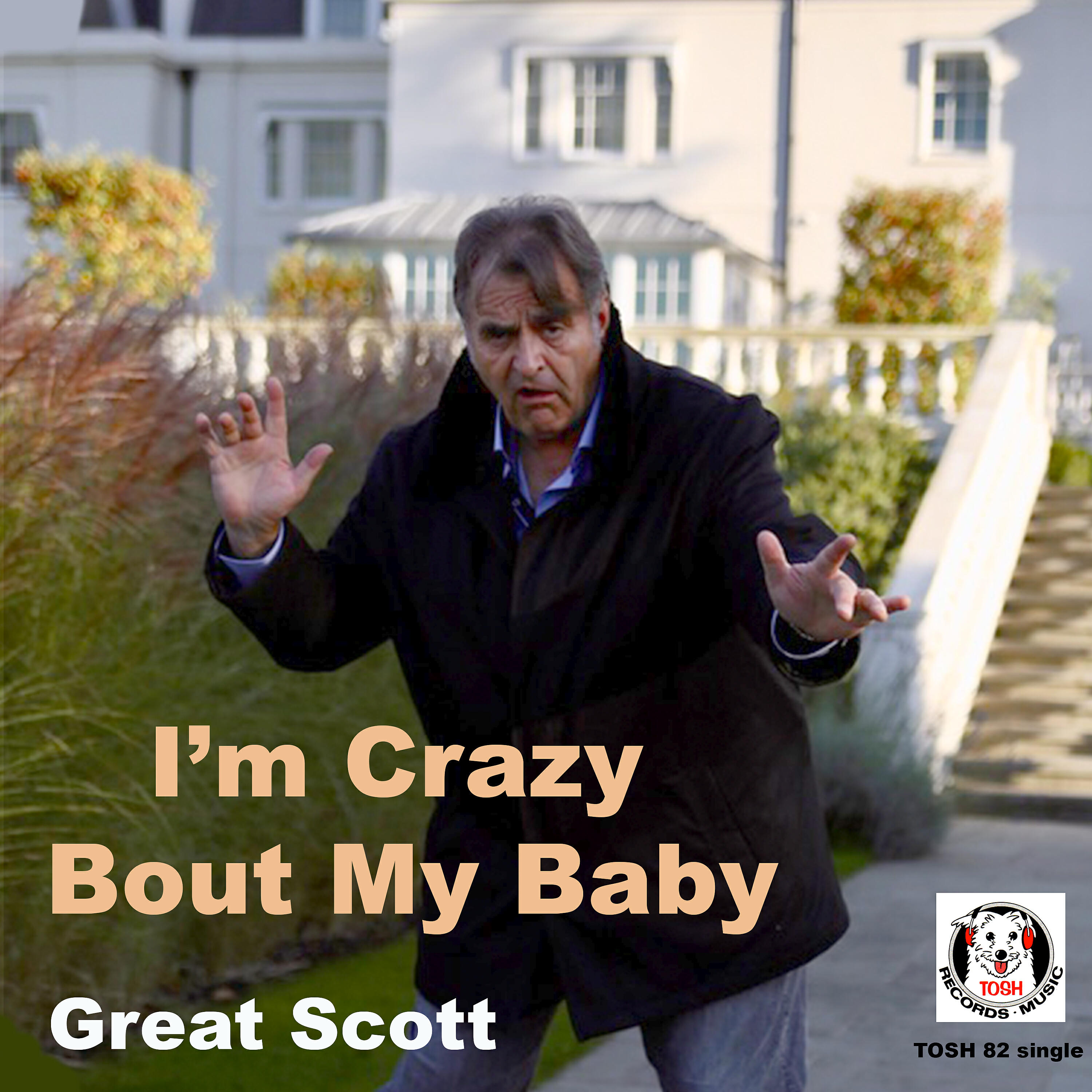 Релиз I'm Crazy Bout My Baby