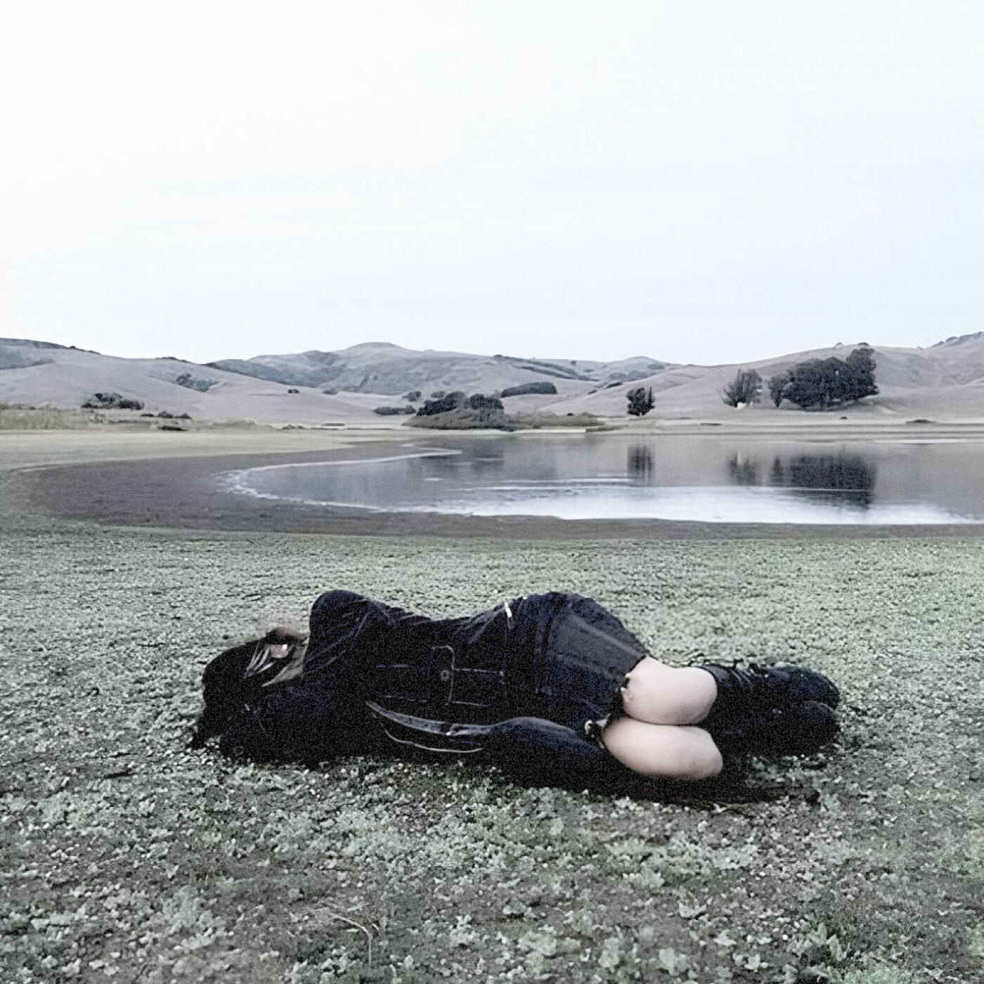 Релиз Nocturnal