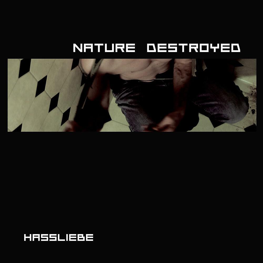 Релиз Hassliebe