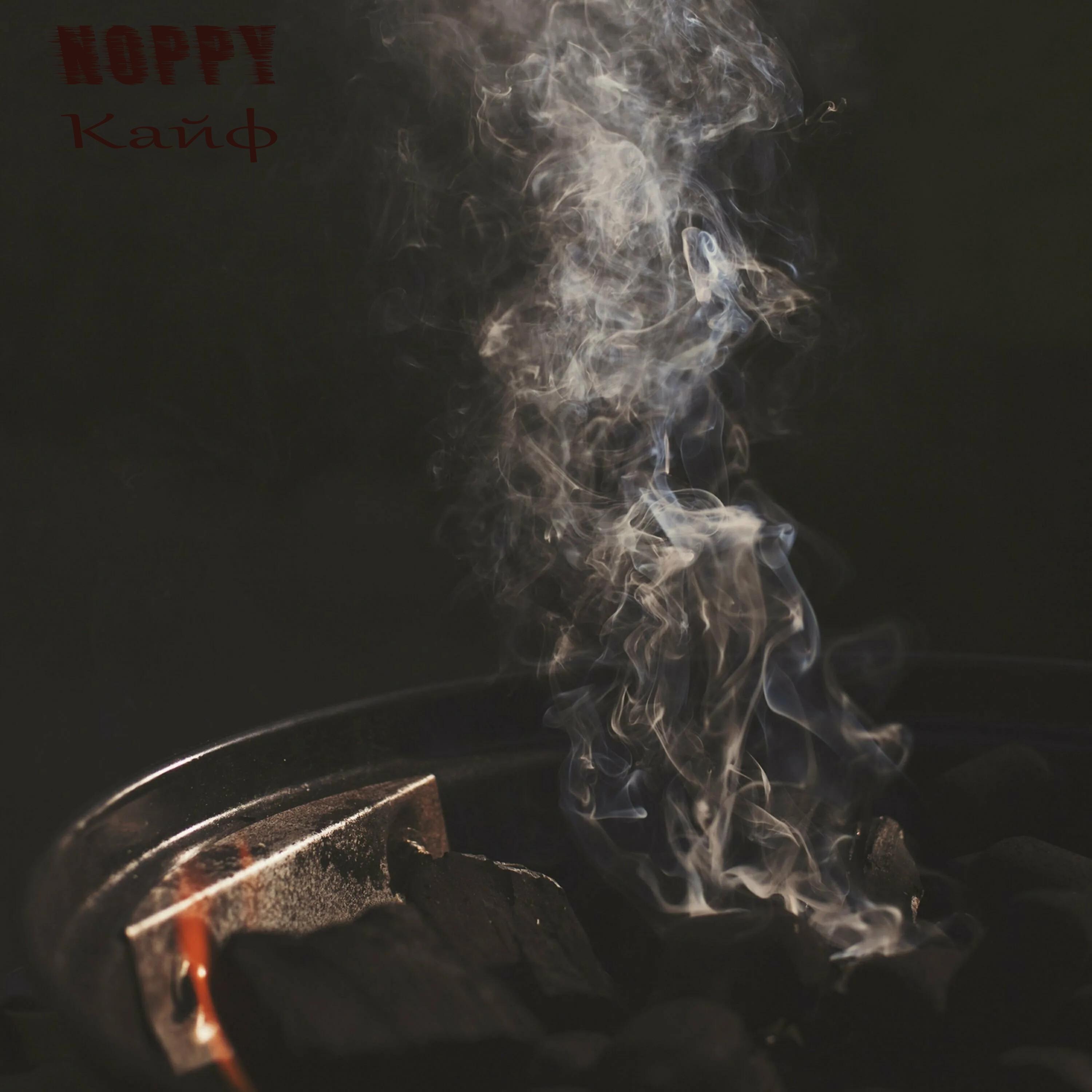 NOPPY
