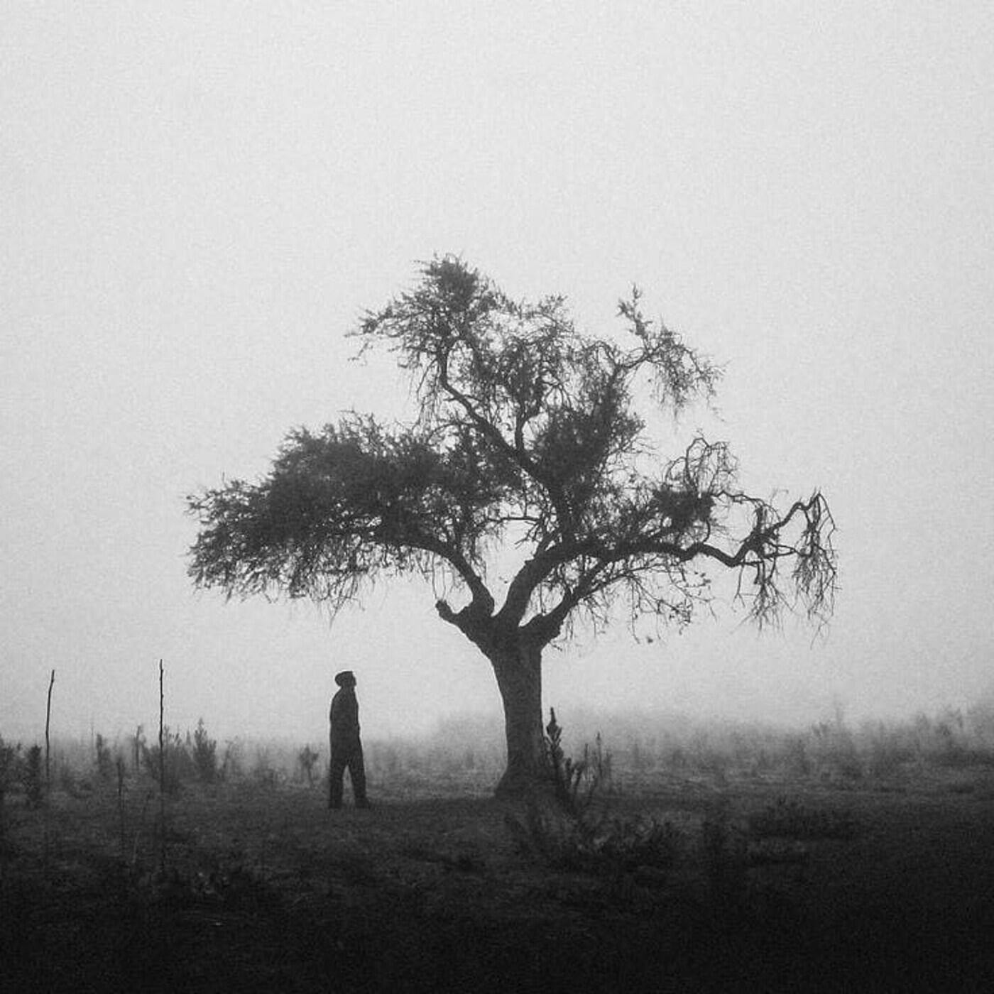 Релиз Quiet SouTh