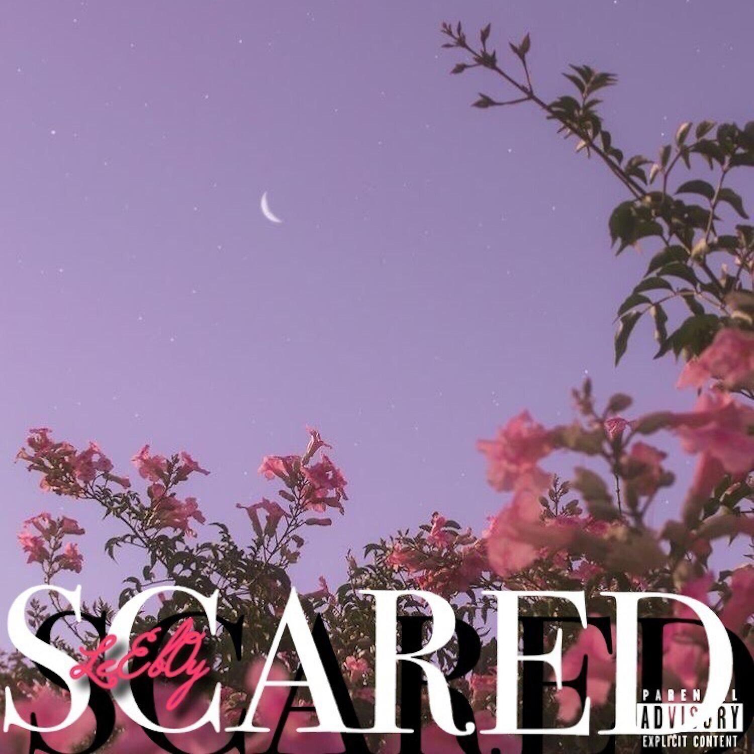 Релиз SCARED