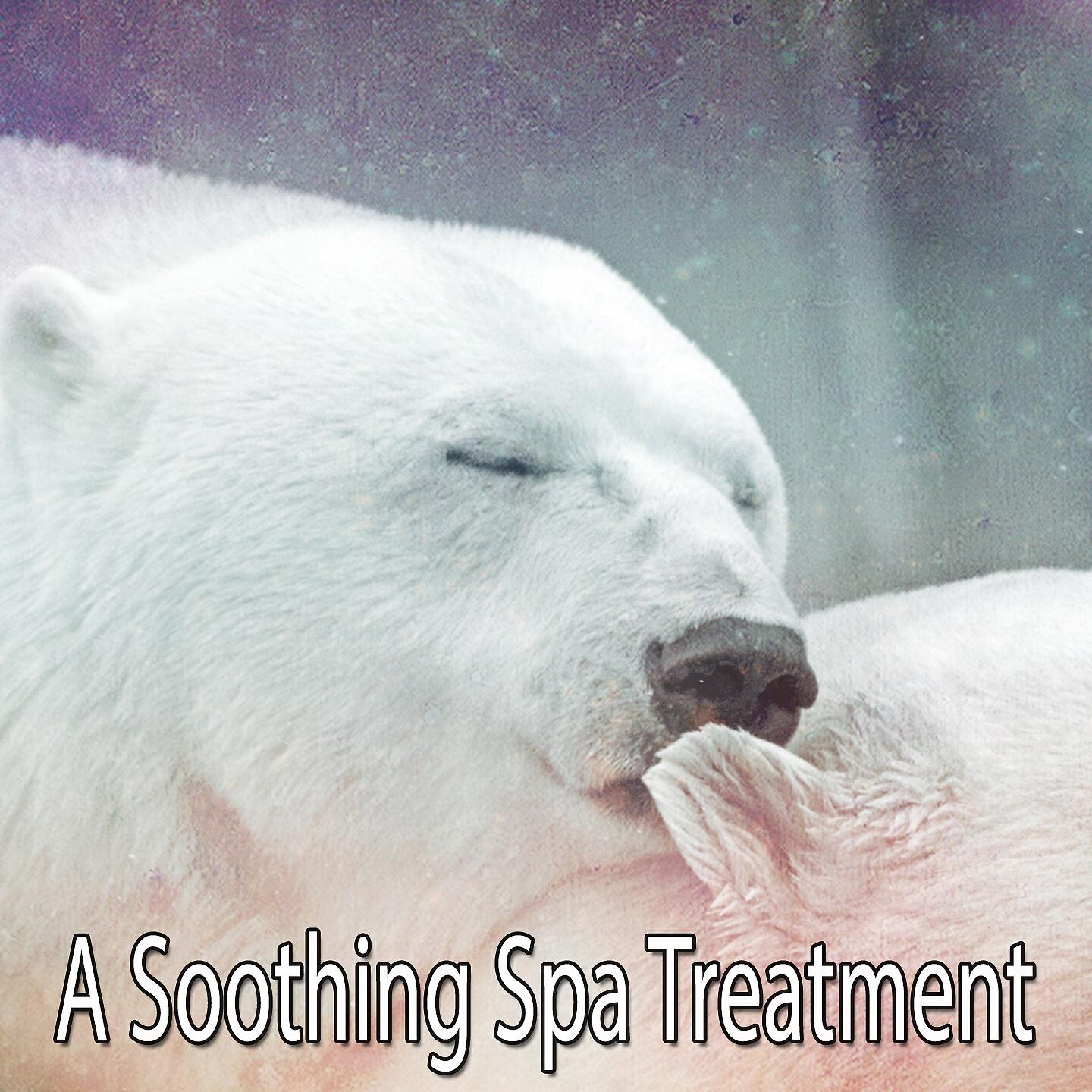 Релиз A Soothing Spa Treatment