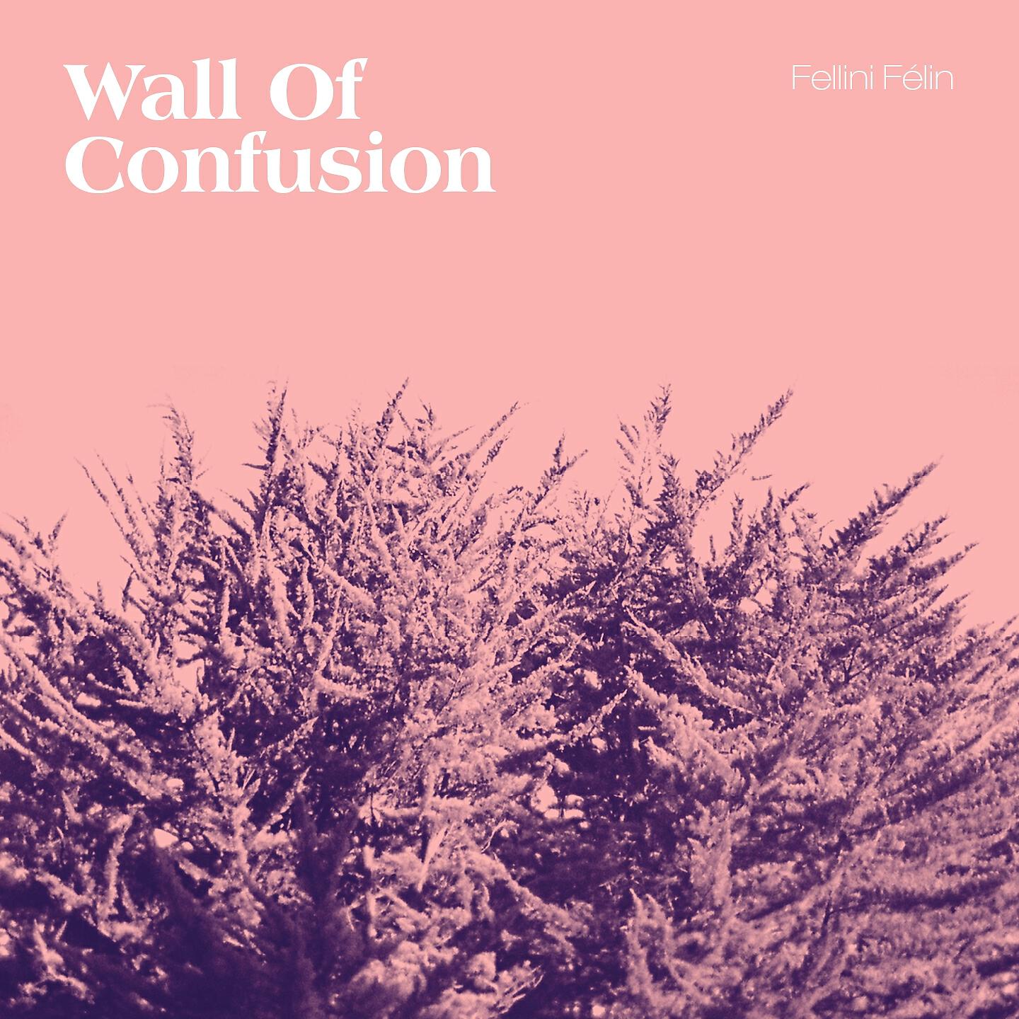 Релиз Wall of Confusion