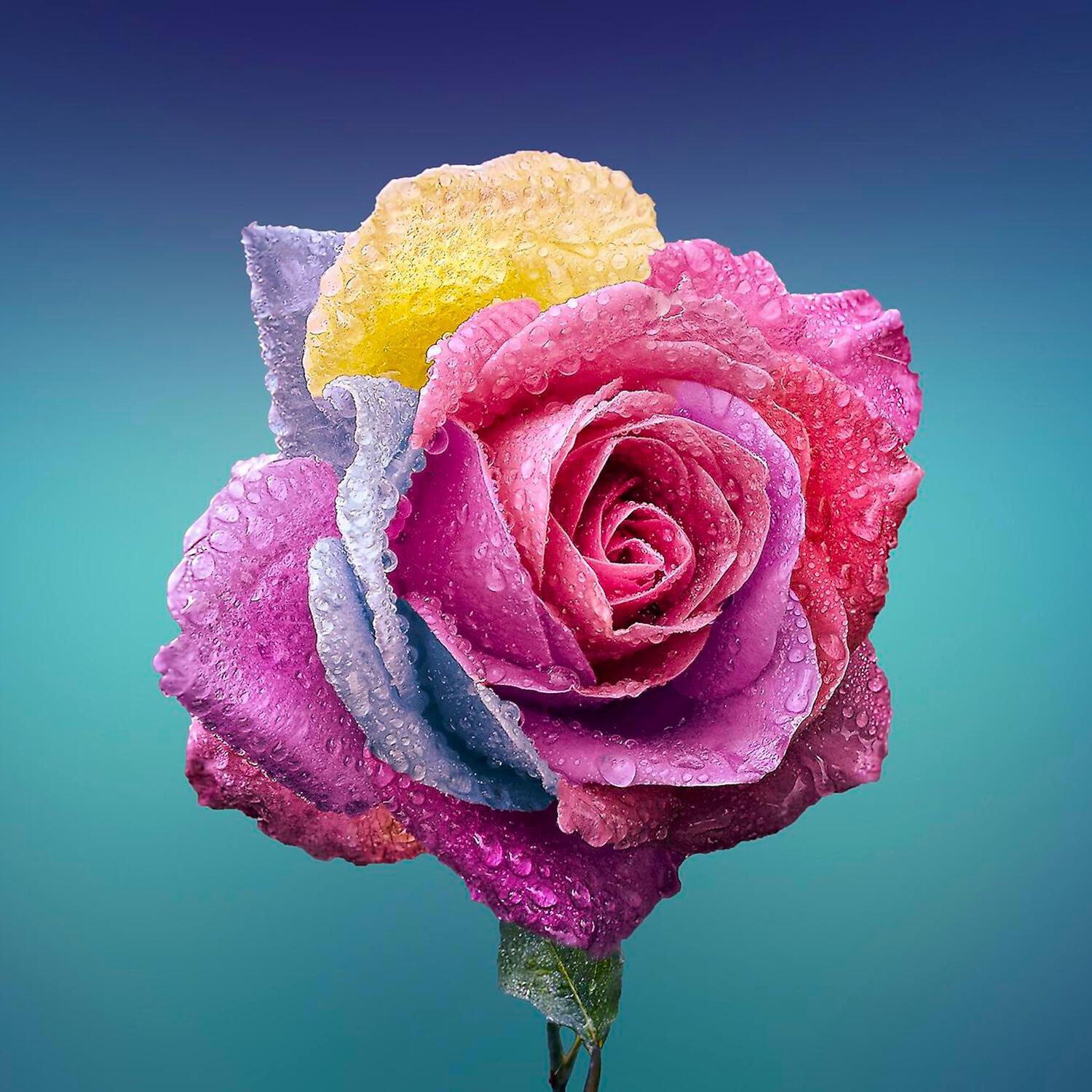 Релиз Love Is...