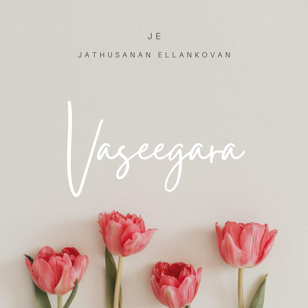 Релиз Vaseegara