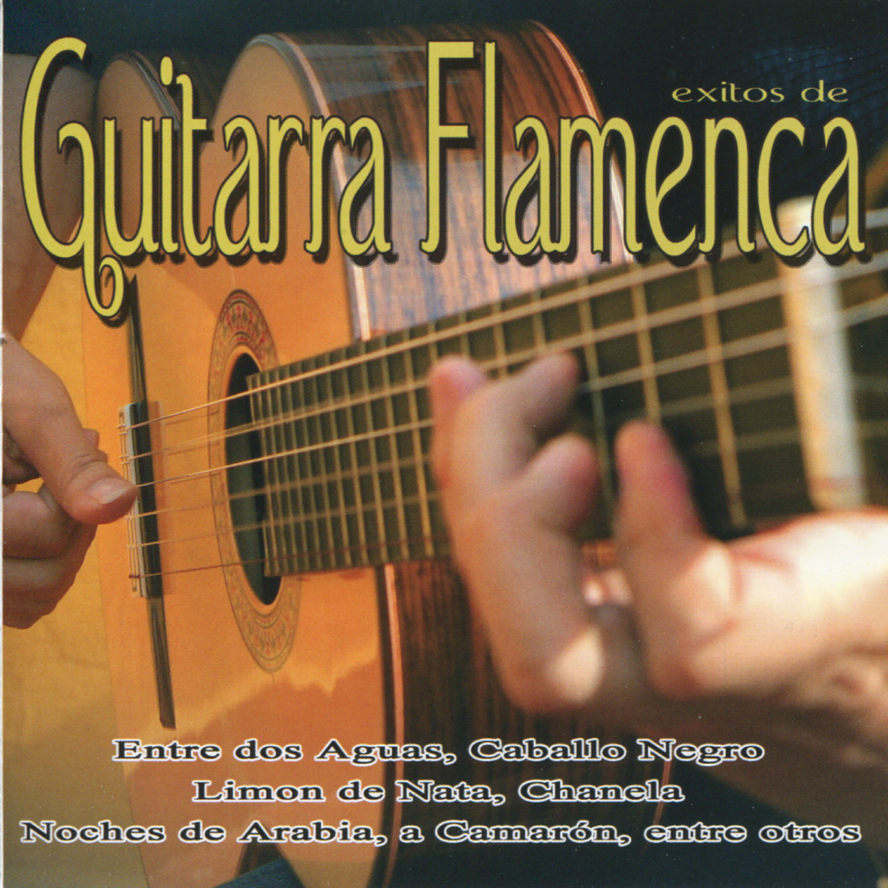 Релиз Exitos de Guitarra Flamenca