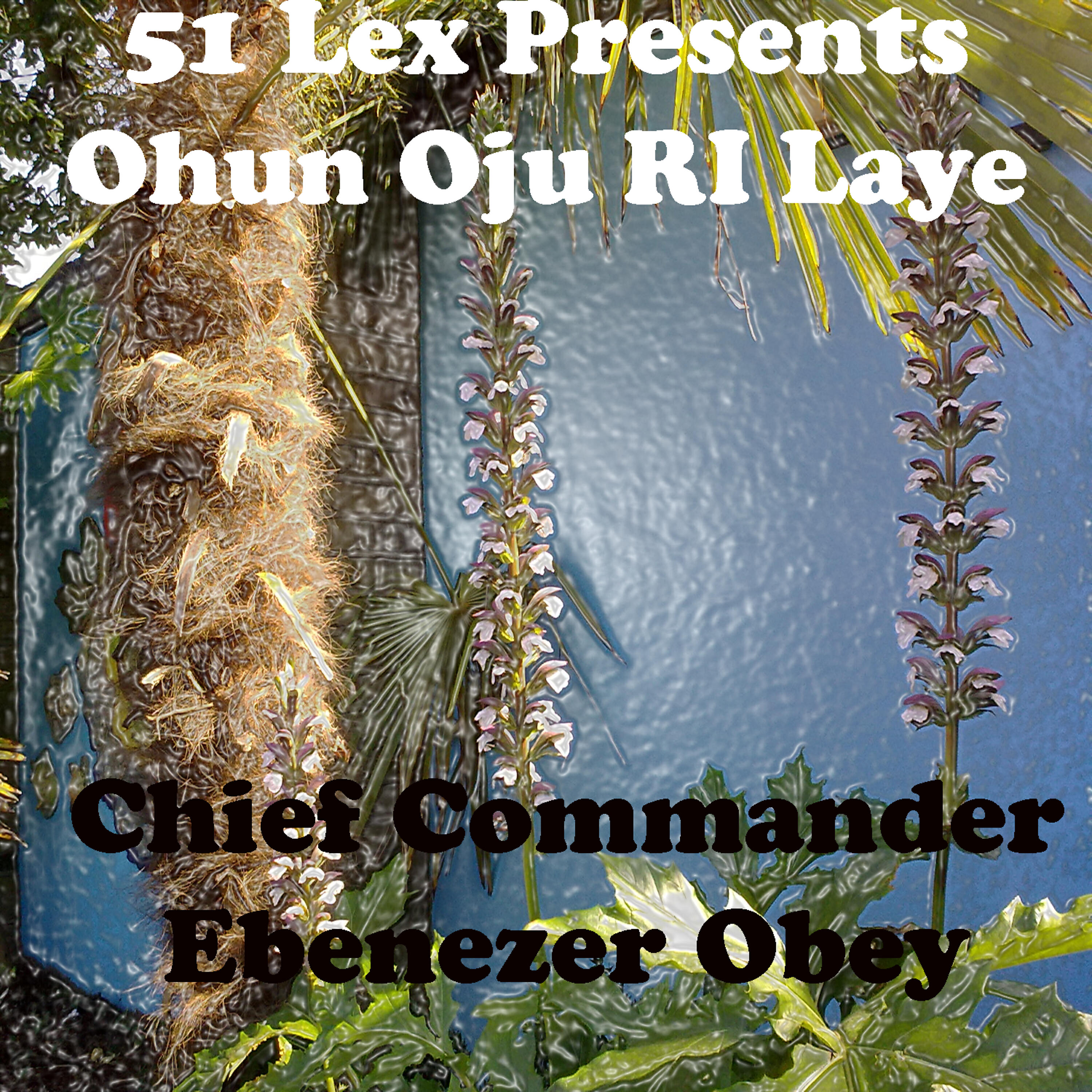 Релиз 51 Lex Presents Ohun Oju Ri Laye