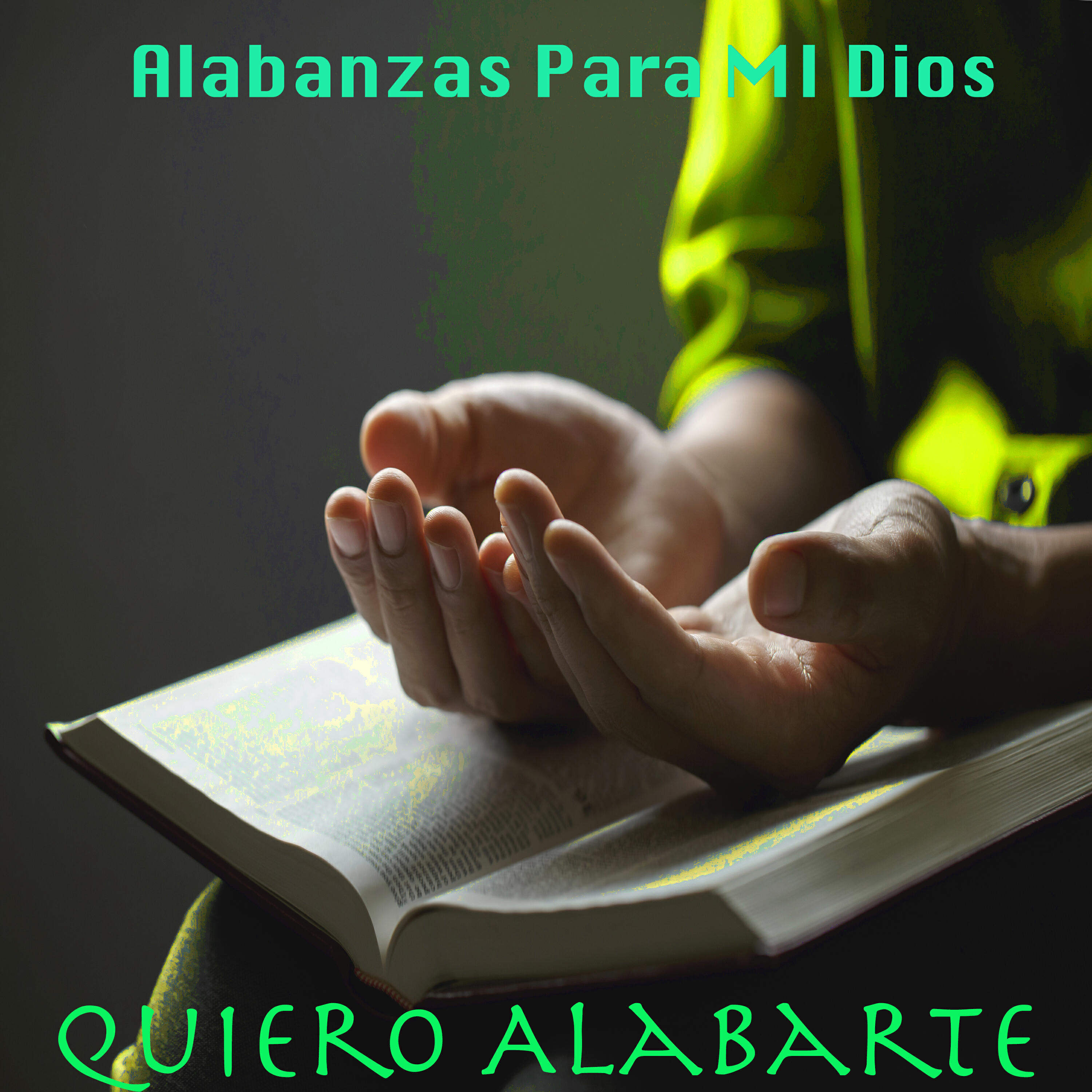 Постер альбома Quiero Alabarte