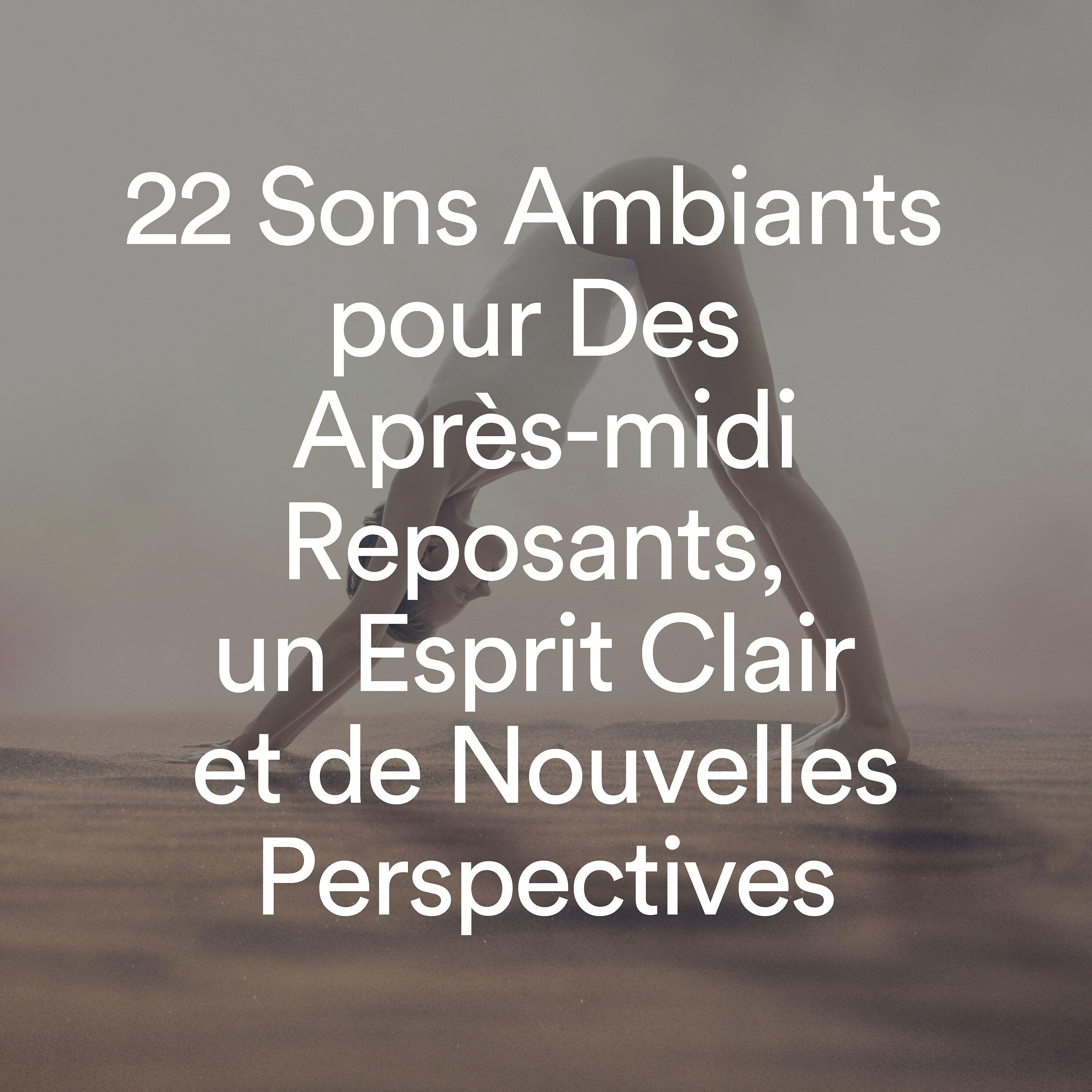 Релиз 22 Sons Ambiants pour Des Après-midi Reposants, un Esprit Clair et de Nouvelles Perspectives