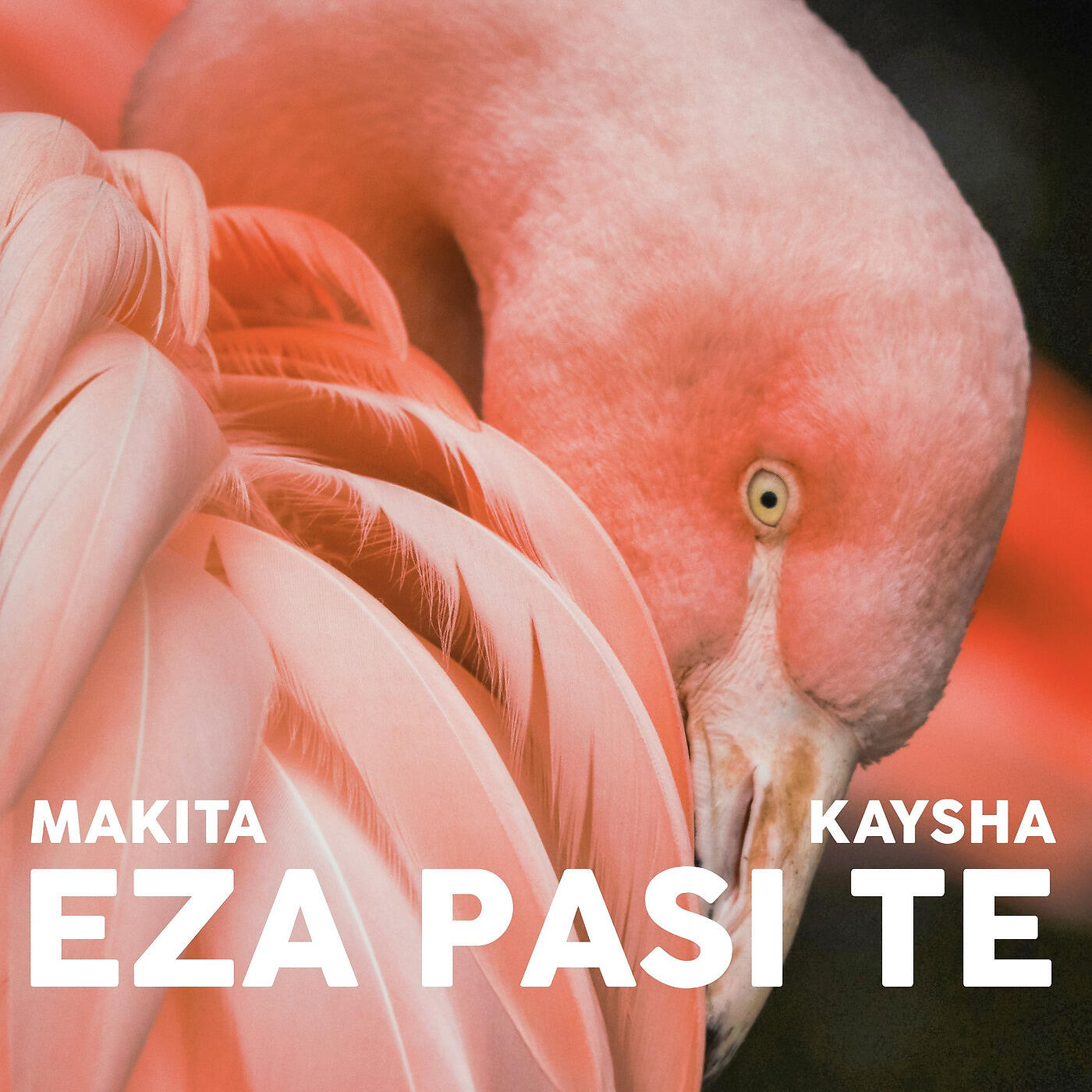 Релиз Eza Pasi Te