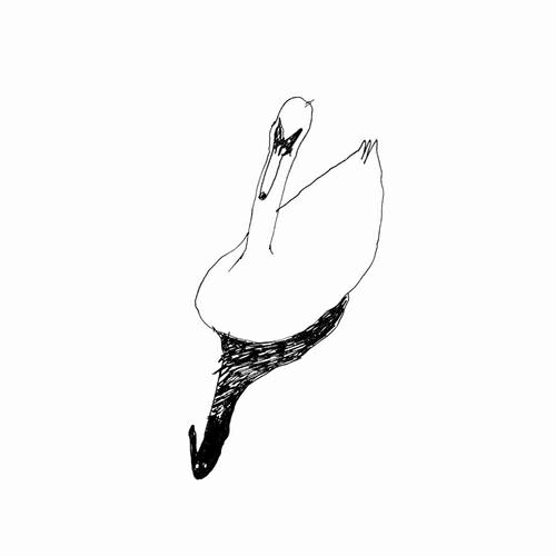 Релиз Meadows EP