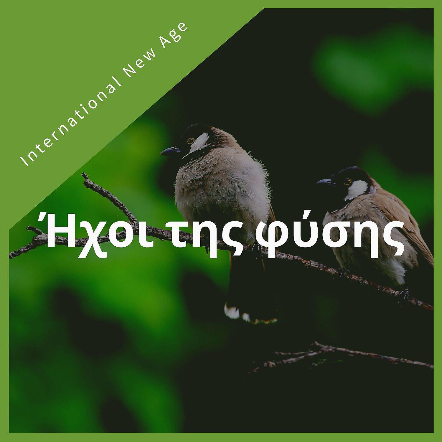 Постер альбома Ήχοι της φύσης - Ήρεμη μουσική νέας εποχής