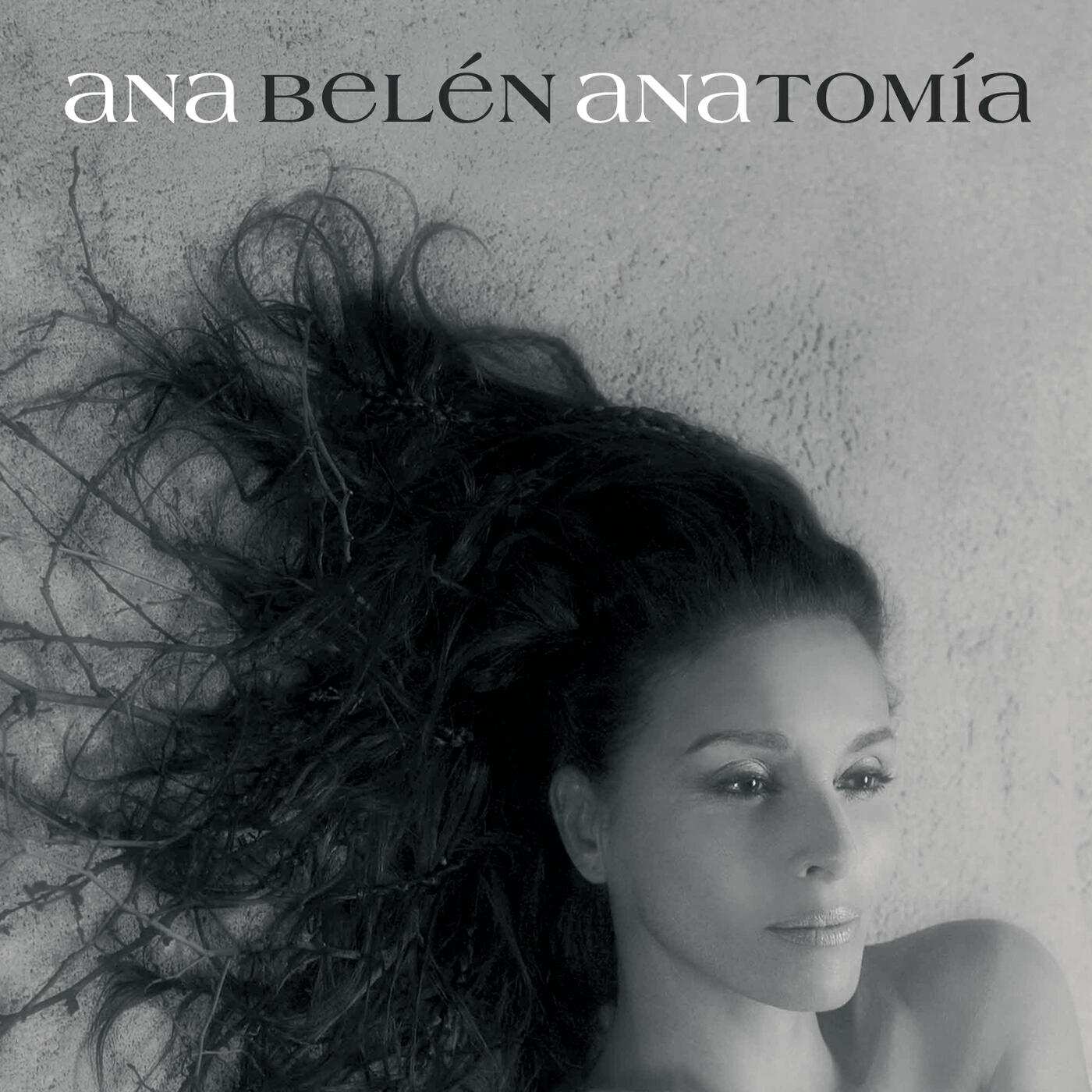 Релиз Anatomia
