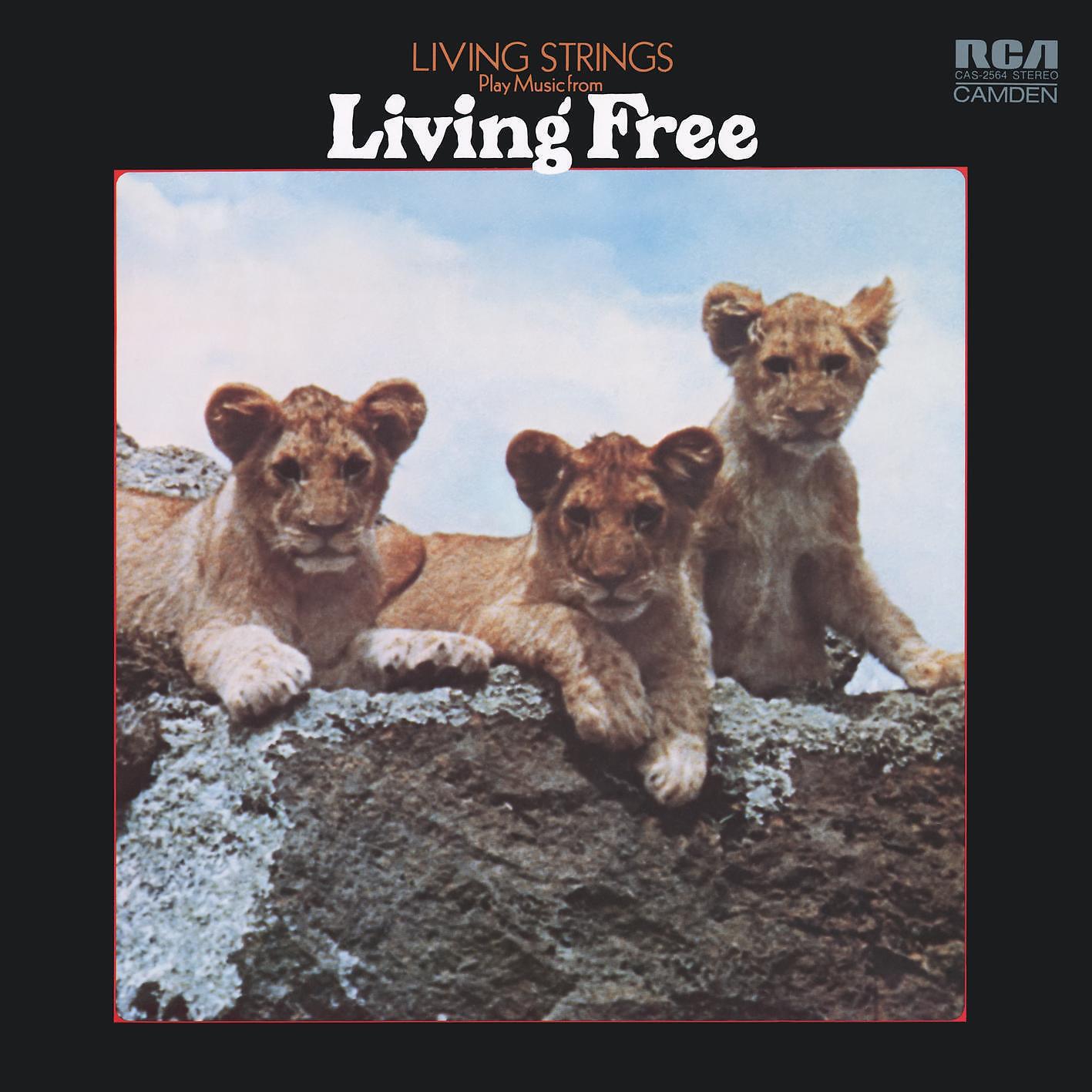 Релиз Play Music From Living Free