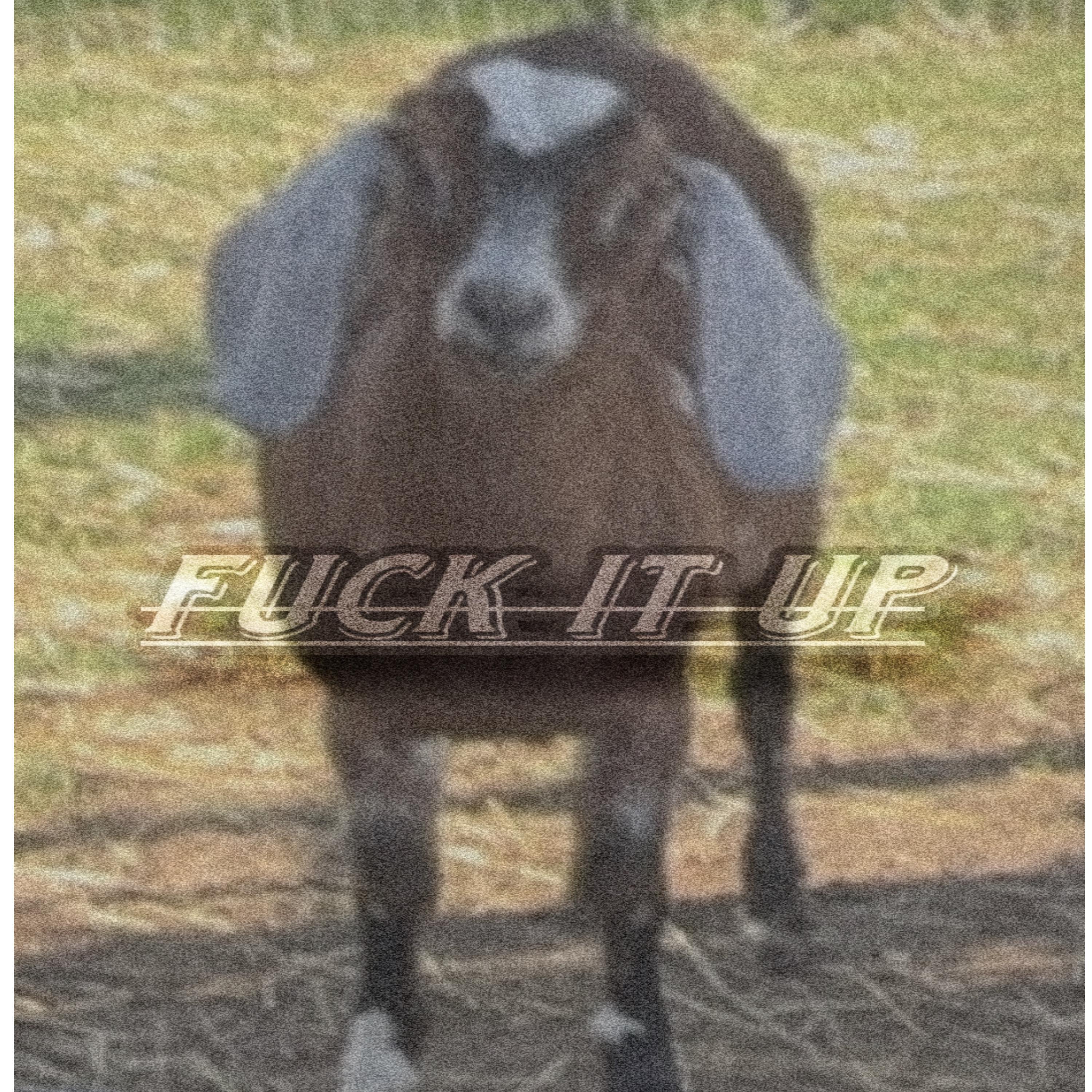 Релиз Fuck It Up