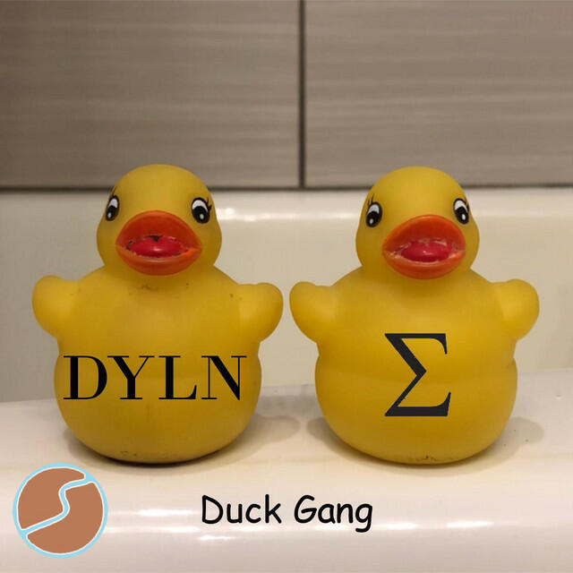 Релиз Duck Gang
