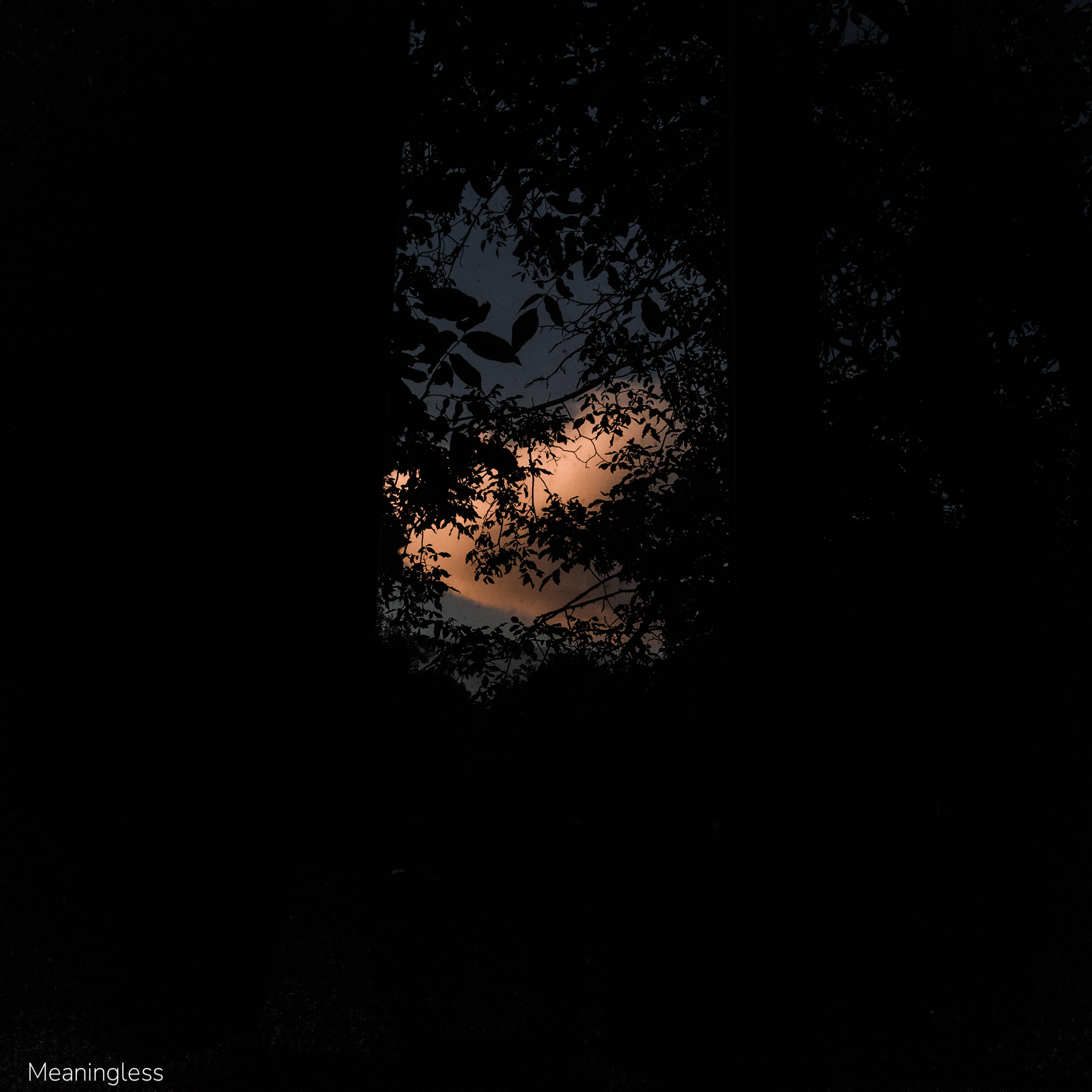Релиз Meaningless