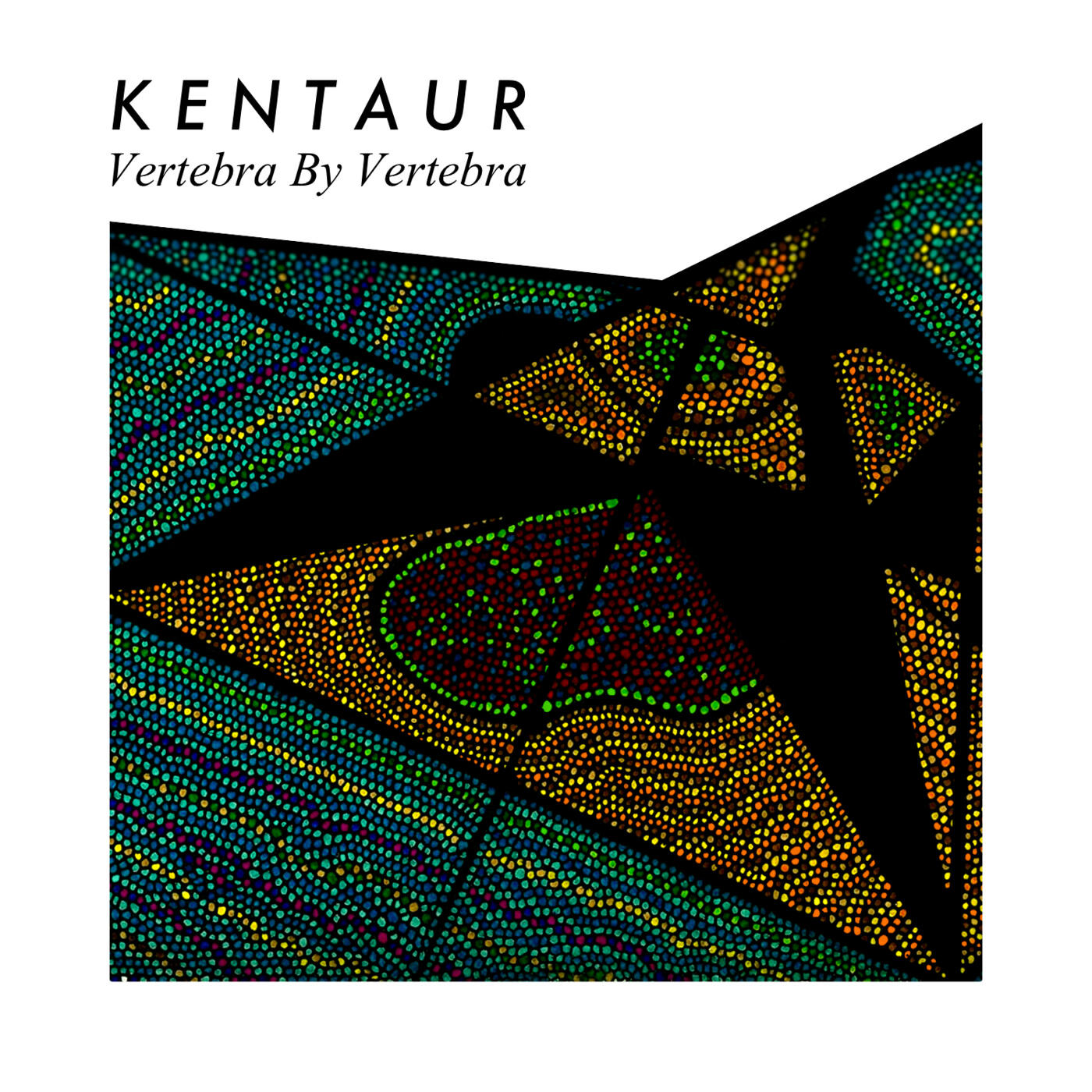 Релиз Vertebra by Vertebra