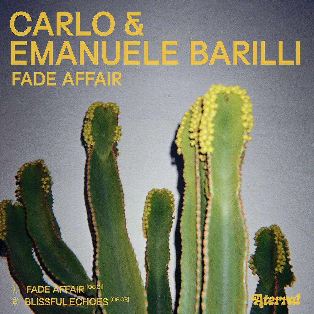 Emanuele Barilli