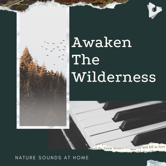 Релиз Awaken The Wilderness