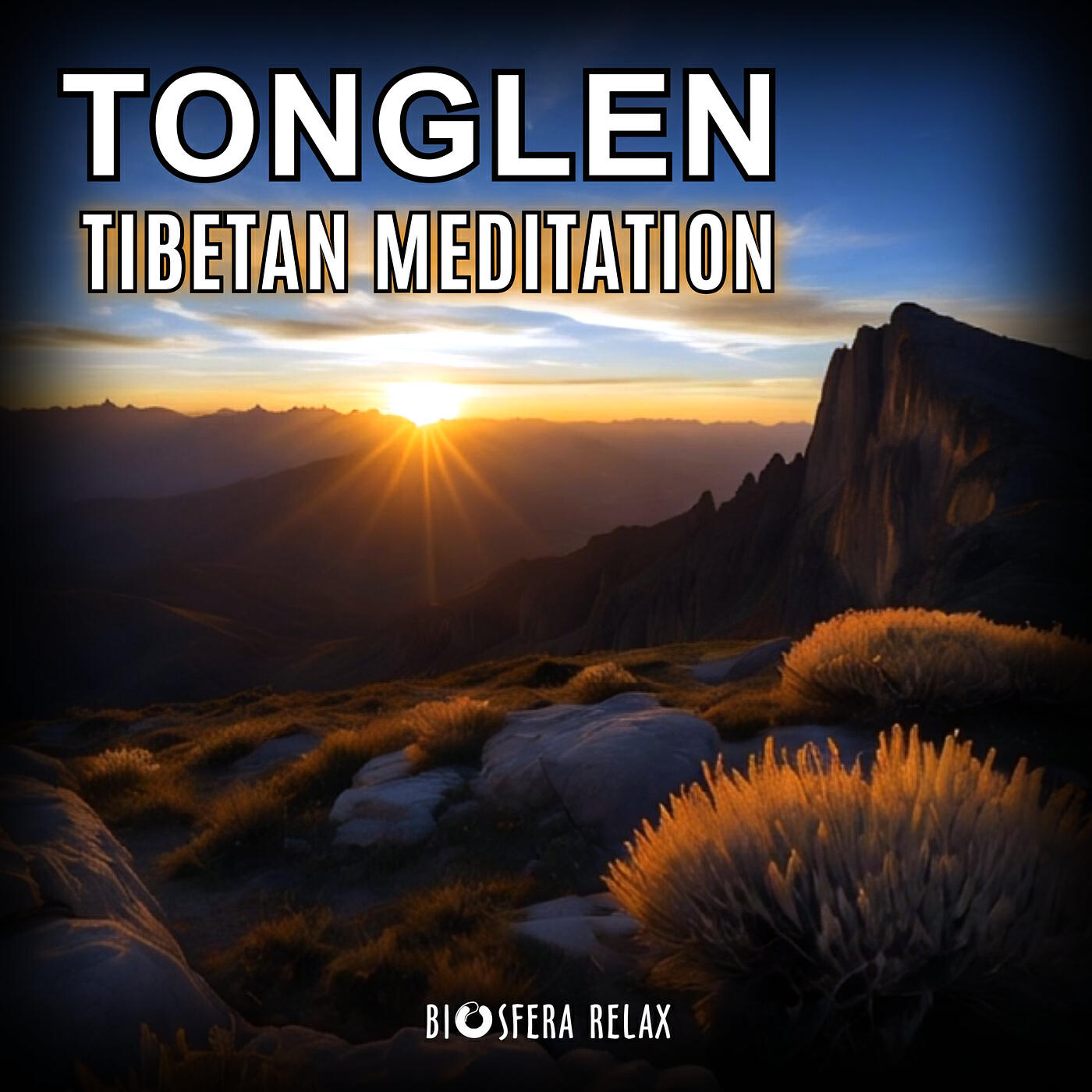 Релиз Tonglen Tibetan Meditation